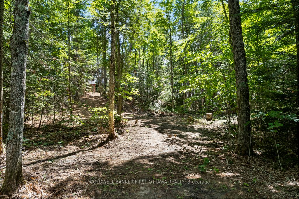000 Palmerston Lake N/a Property Photo 30