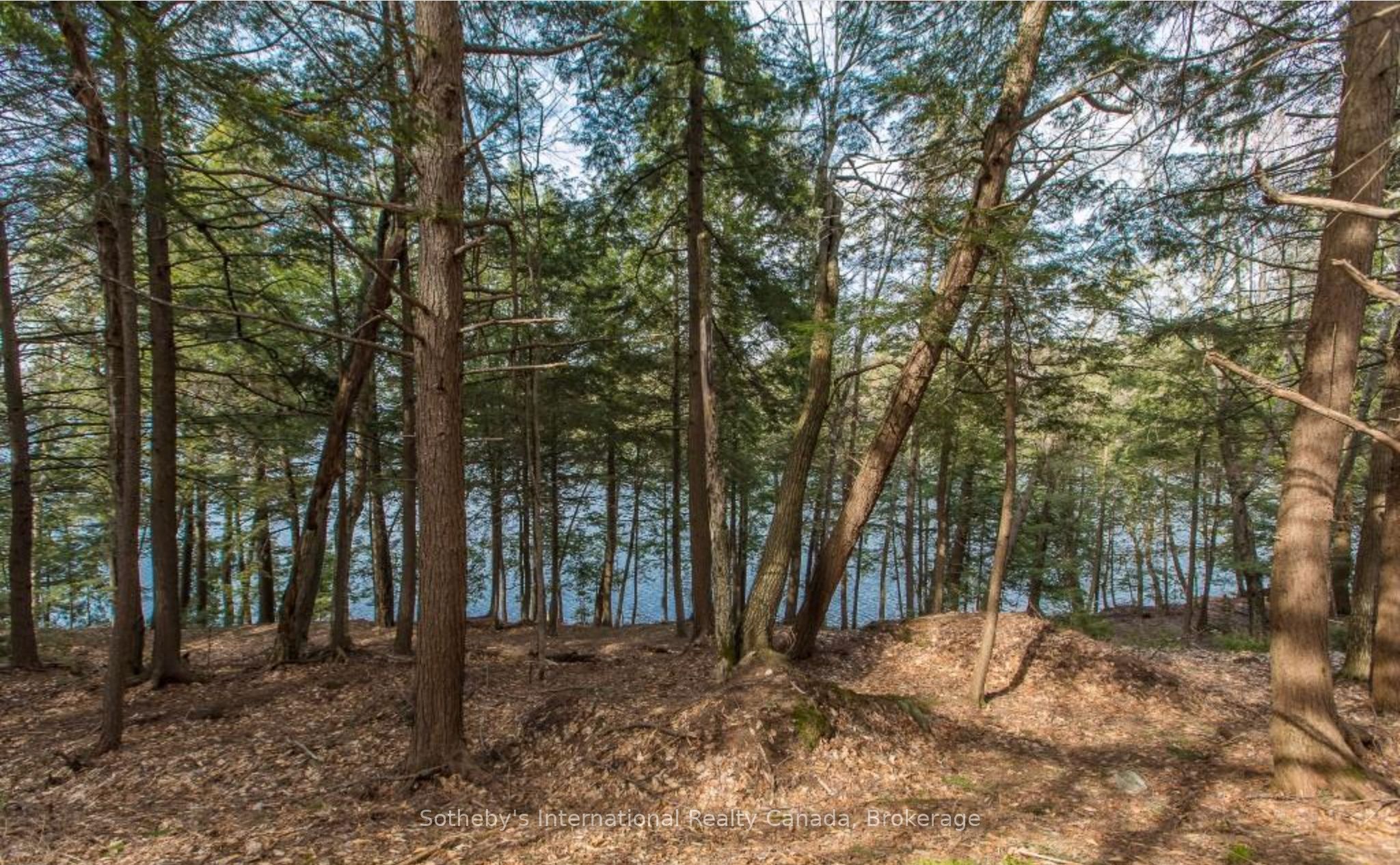 364 Stanley House Road Lot C Property Photo 6