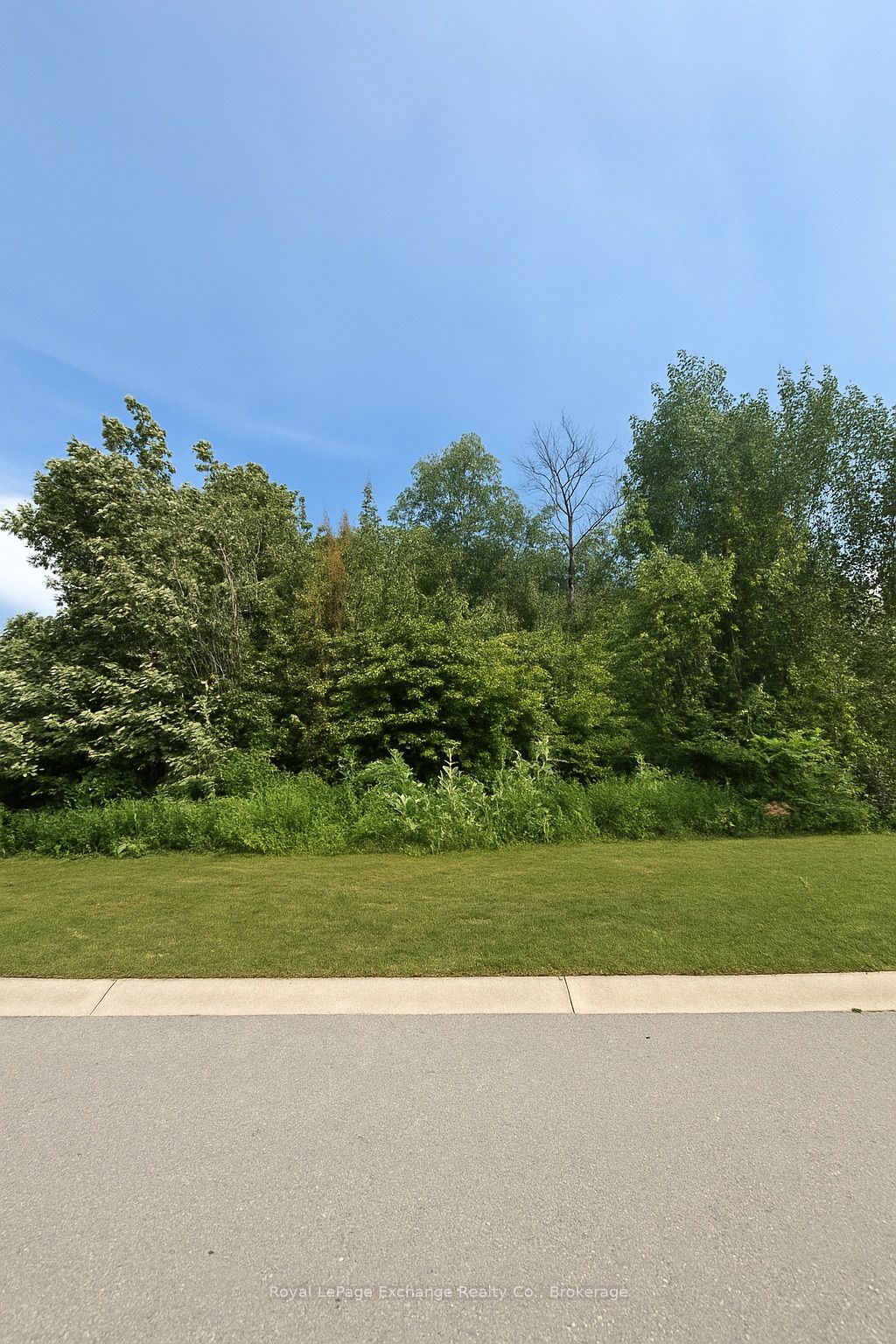 Block14 Birchwood Avenue Property Photo 2