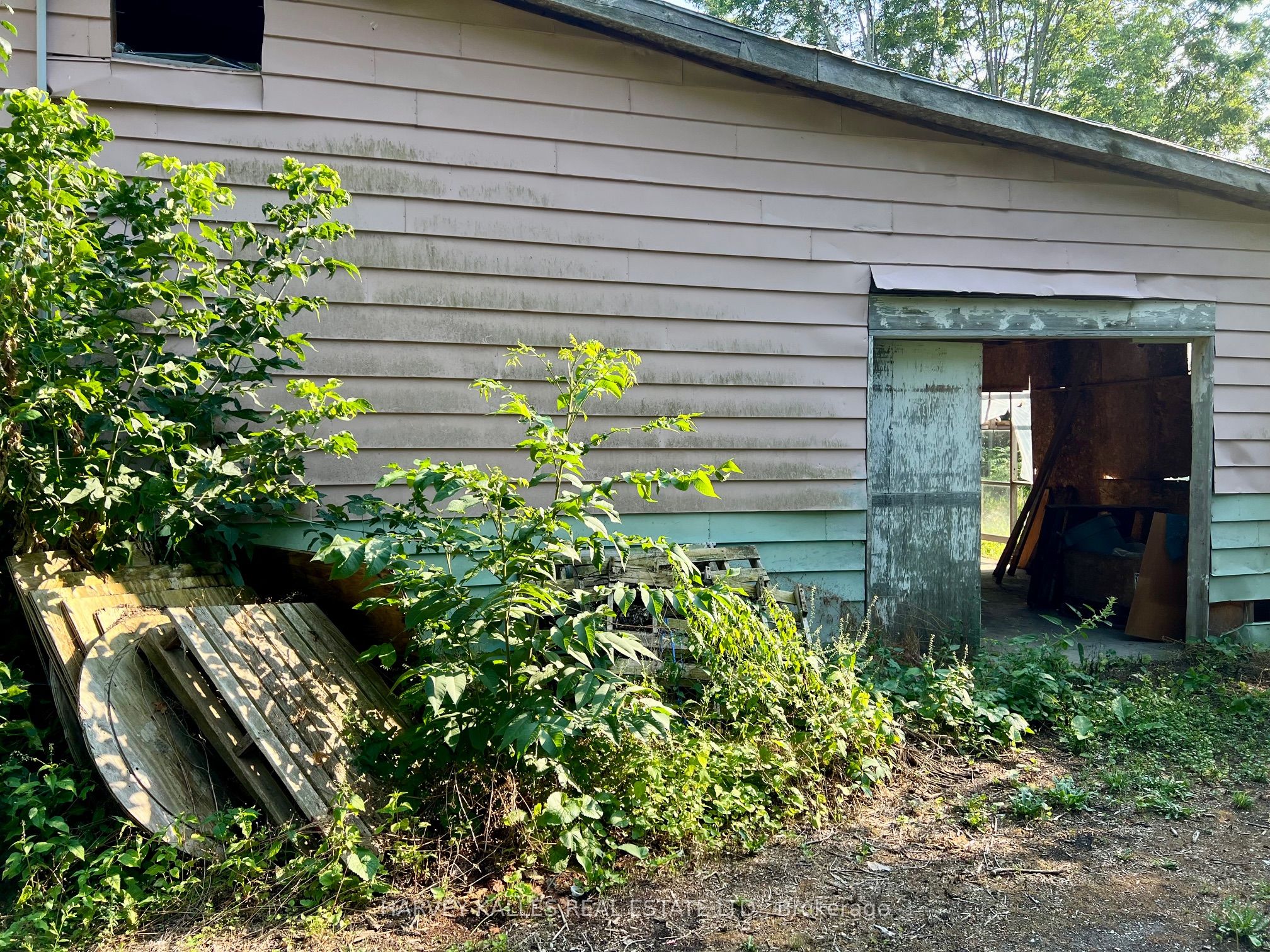 496 County Rd 10 Road Property Photo 6