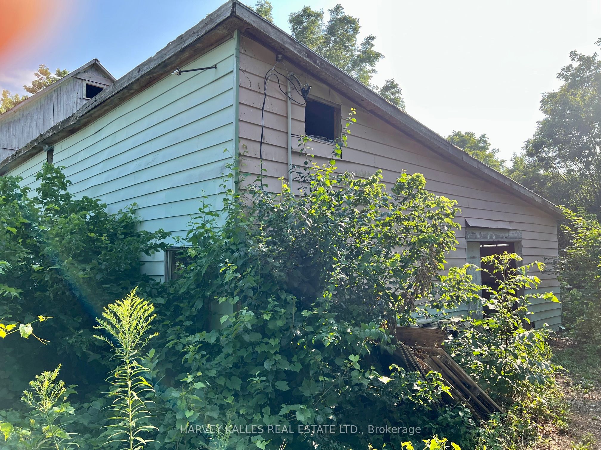 496 County Rd 10 Road Property Photo 7