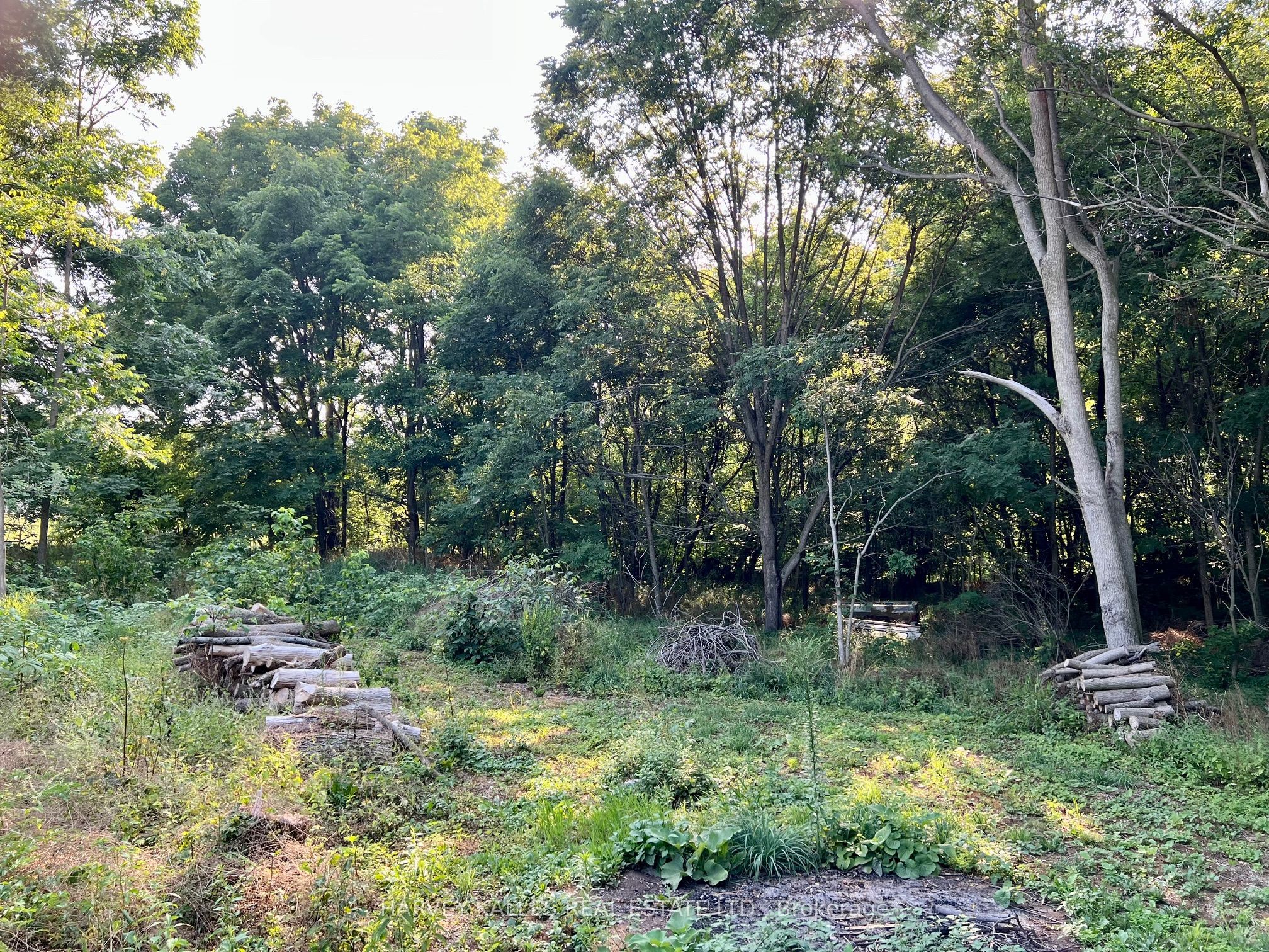 496 County Rd 10 Road Property Photo 9