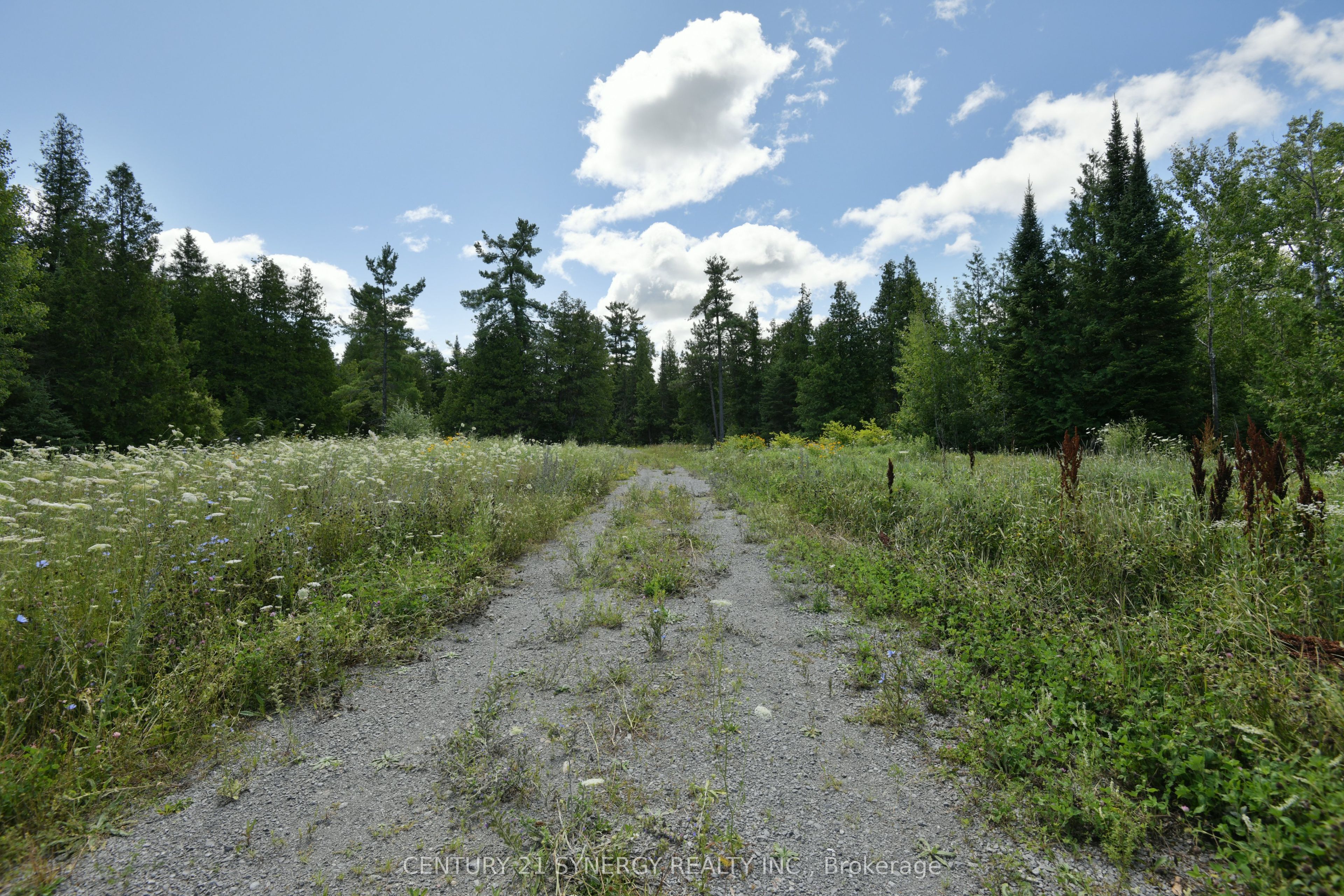 00 Golf Club Road Property Photo 1