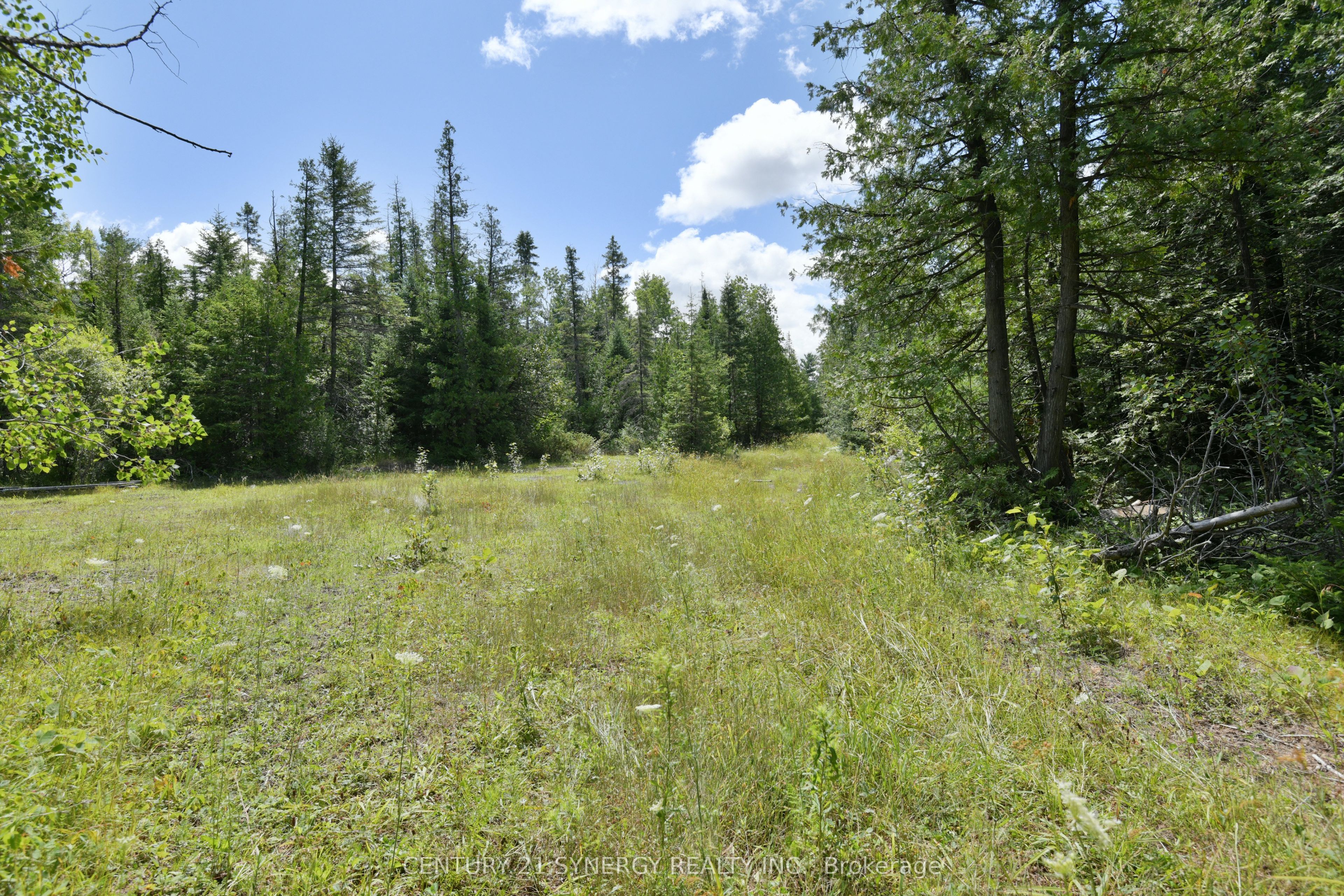 00 Golf Club Road Property Photo 5