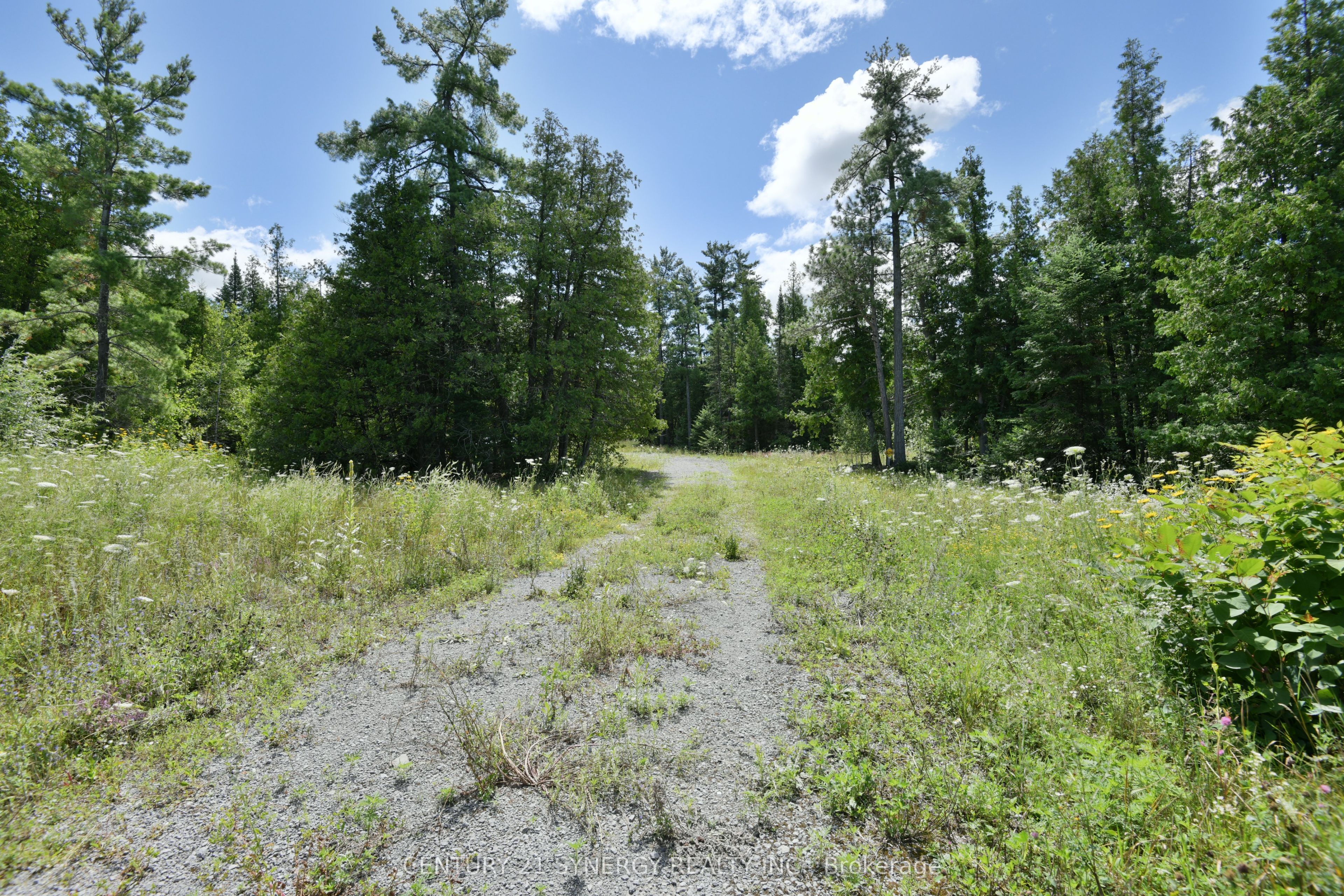 00 Golf Club Road Property Photo 6