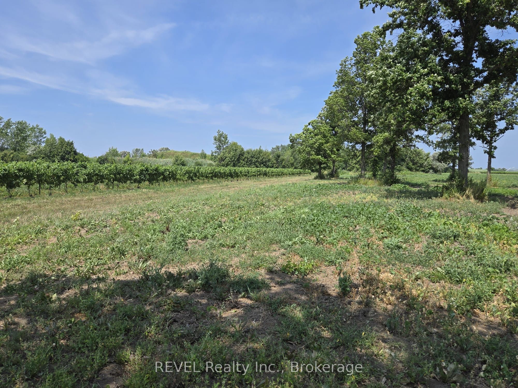 240 Eastchester Avenue Property Photo 6