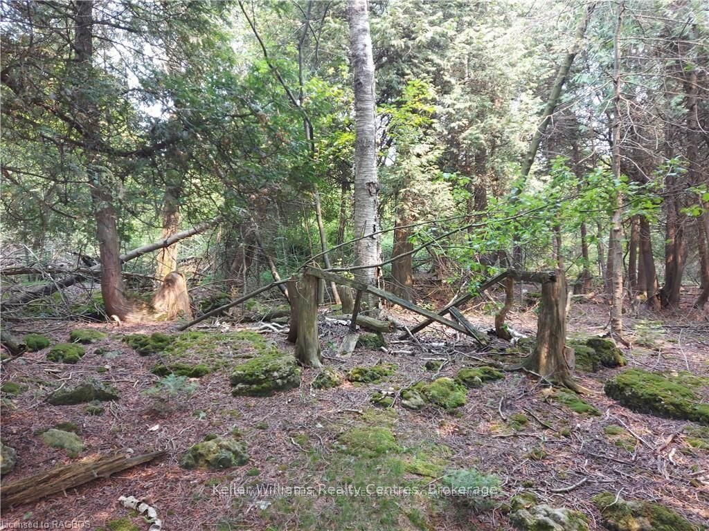 23 Rabbit N/a Property Photo 34