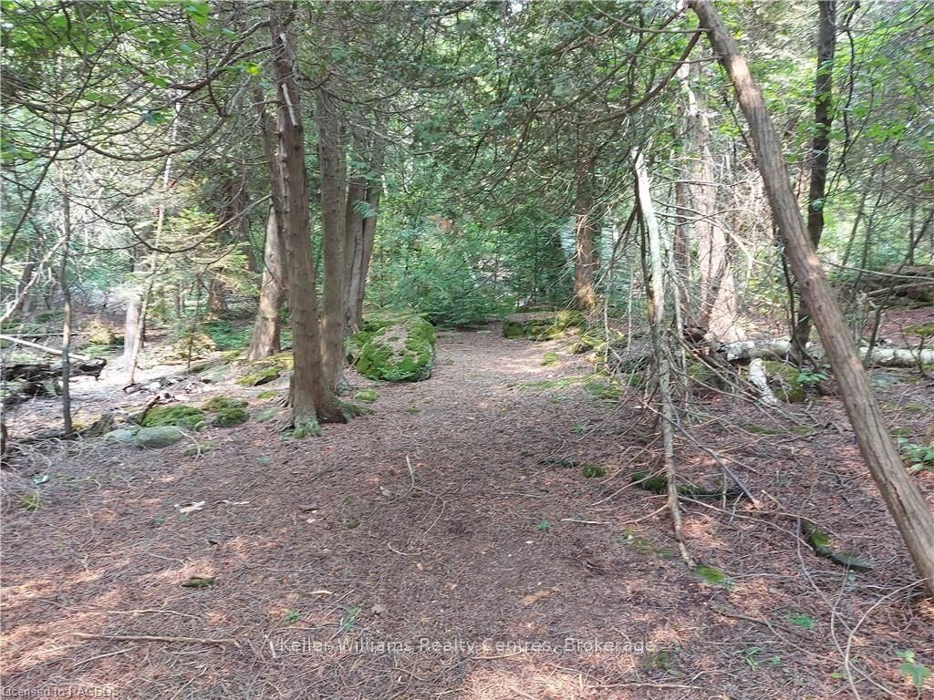 23 Rabbit N/a Property Photo 35