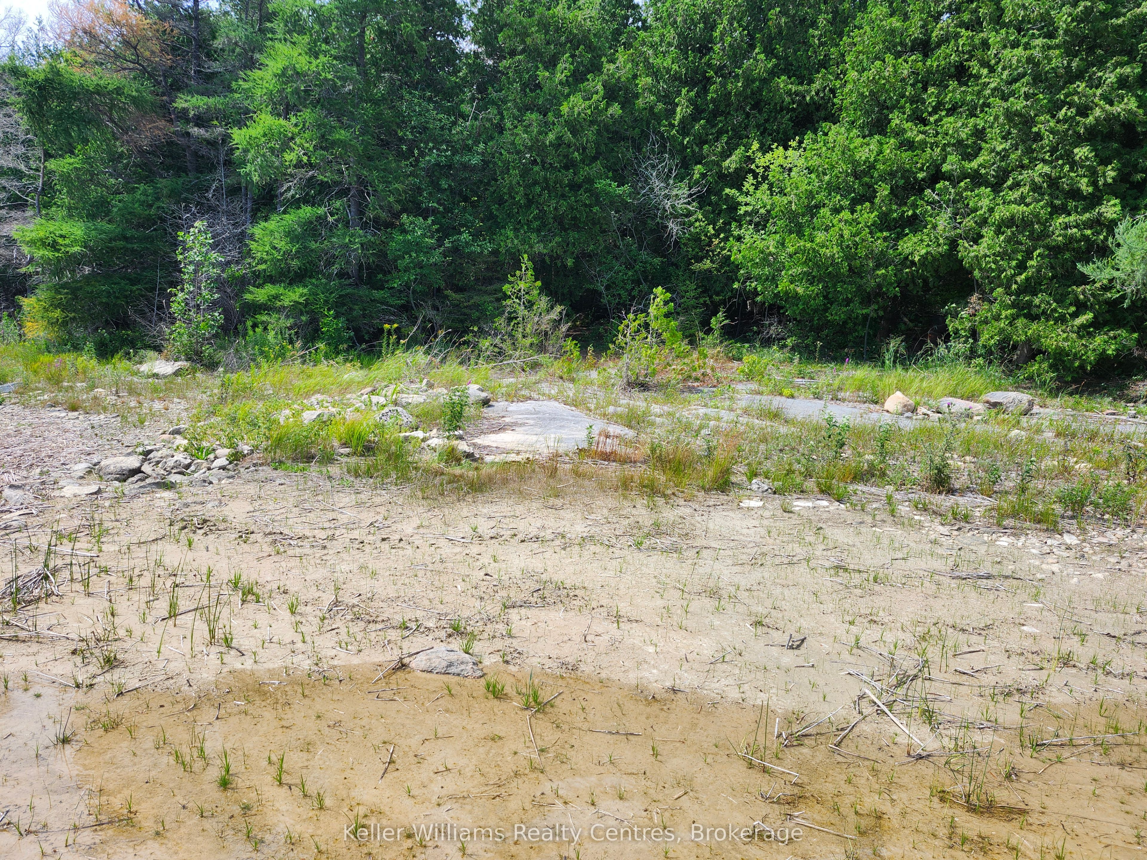 23 Rabbit N/a Property Photo 37