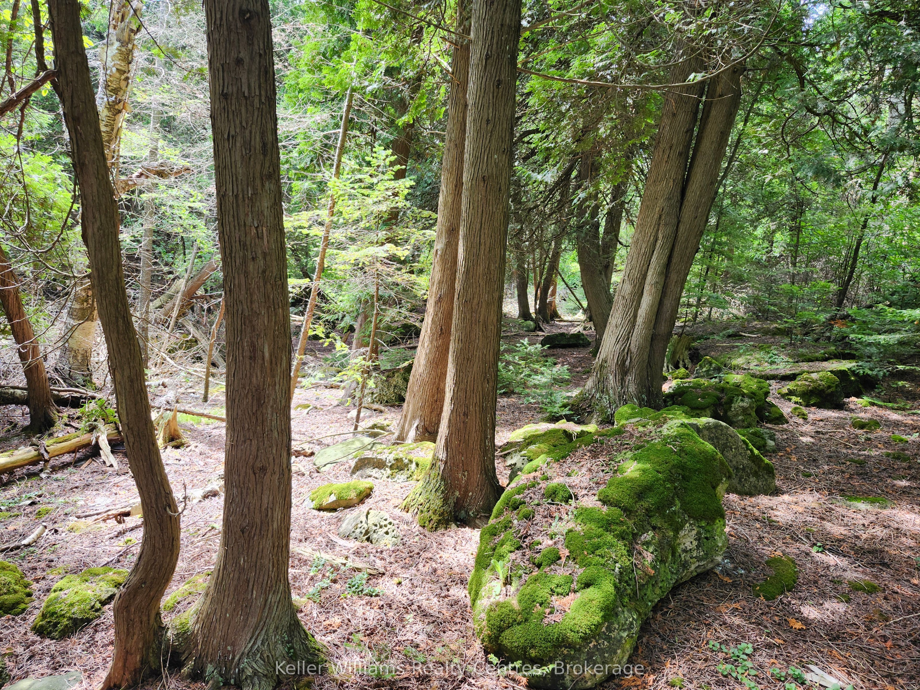 23 Rabbit N/a Property Photo 38