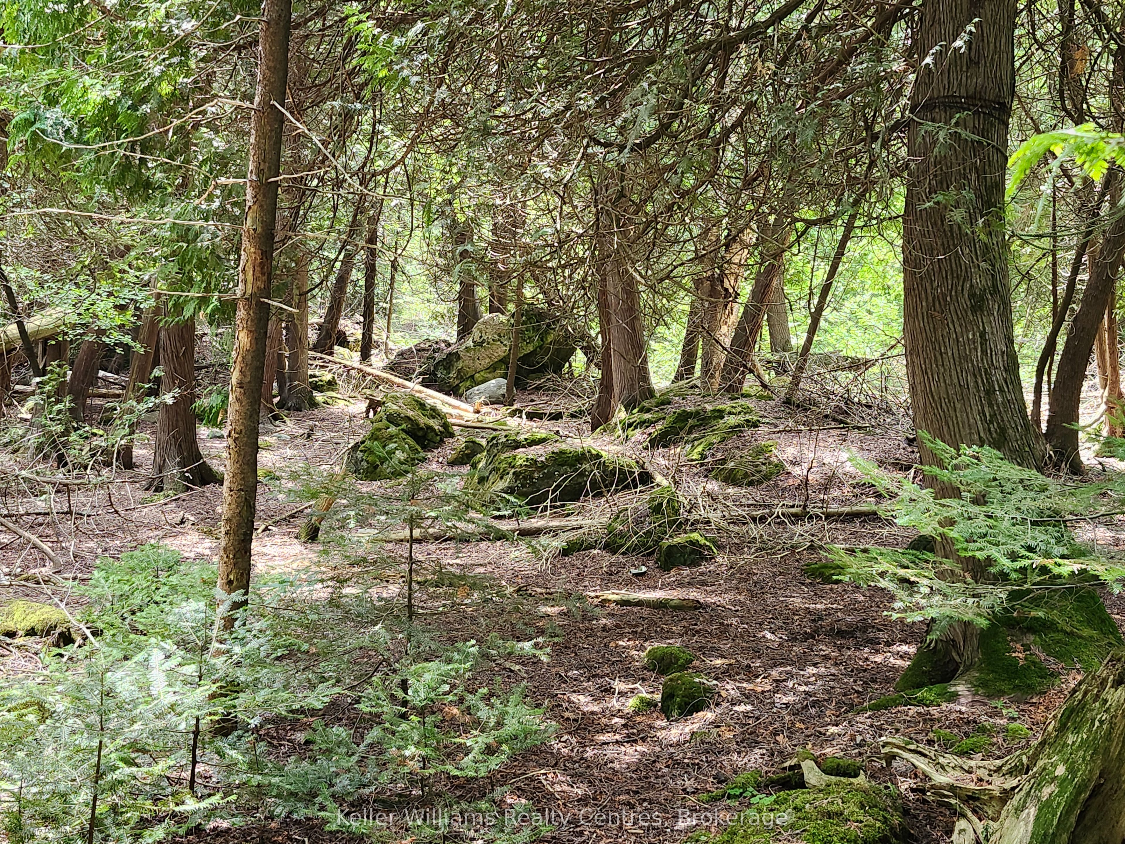23 Rabbit N/a Property Photo 39