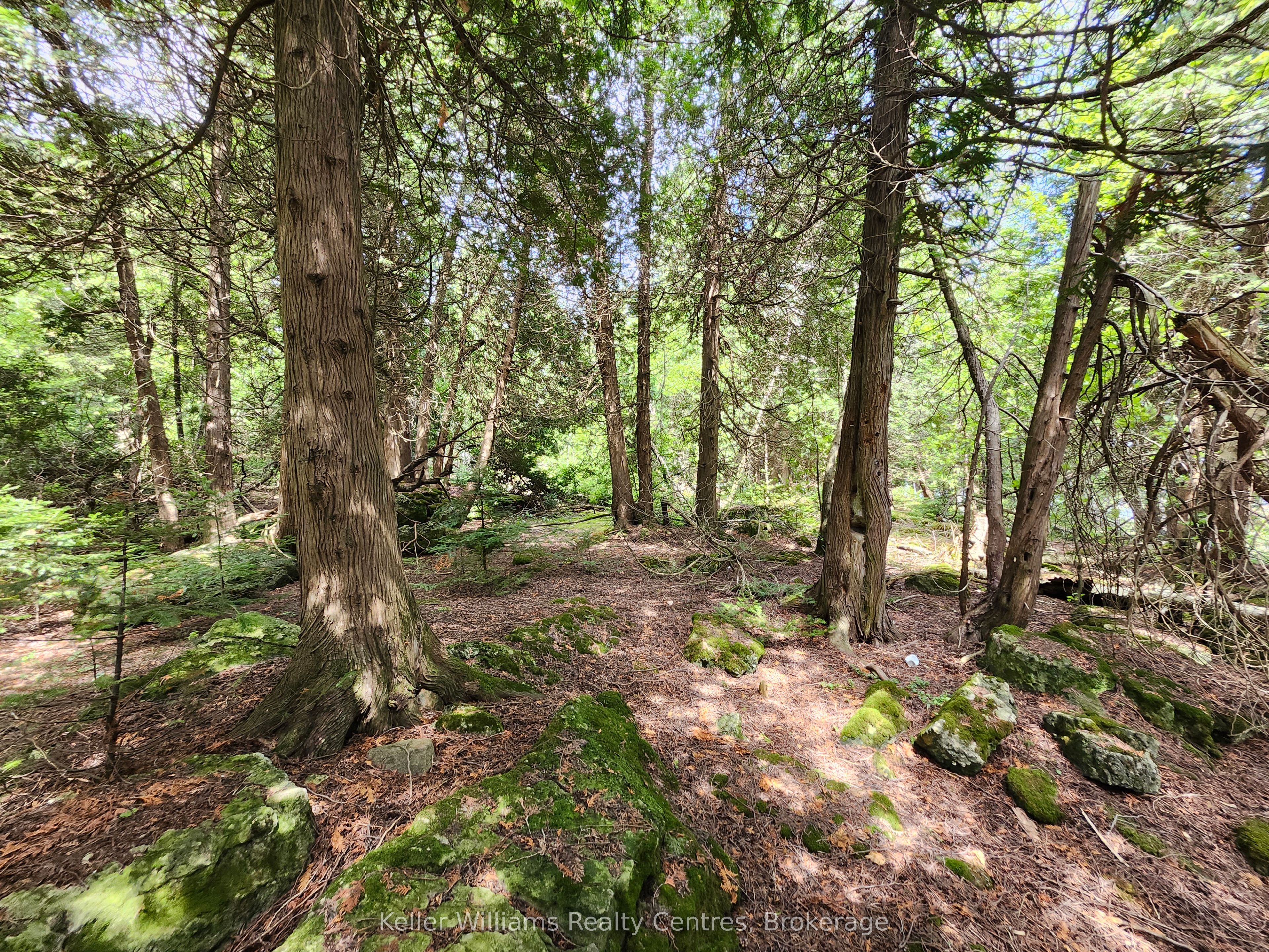 23 Rabbit N/a Property Photo 40