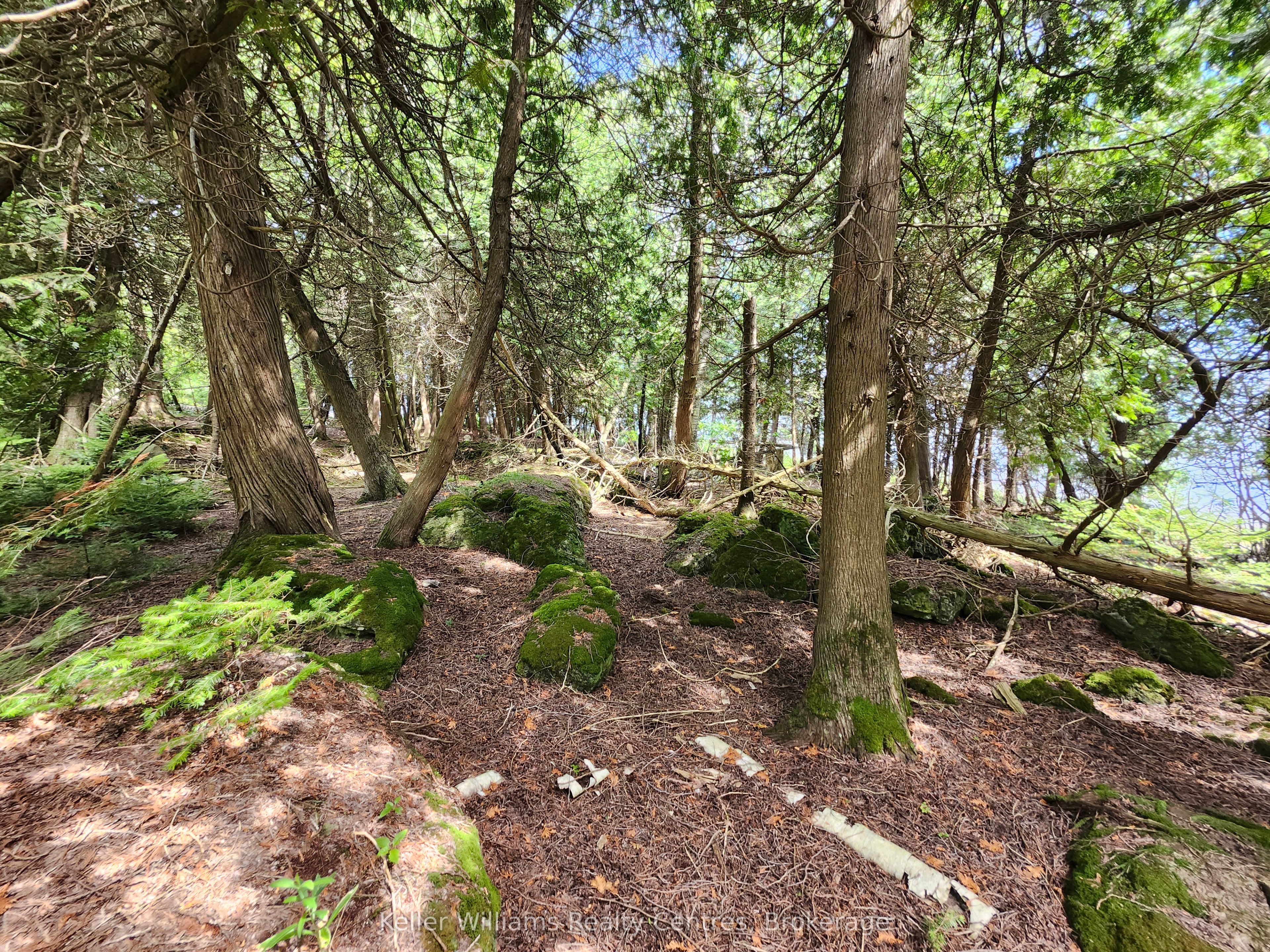 23 Rabbit N/a Property Photo 42