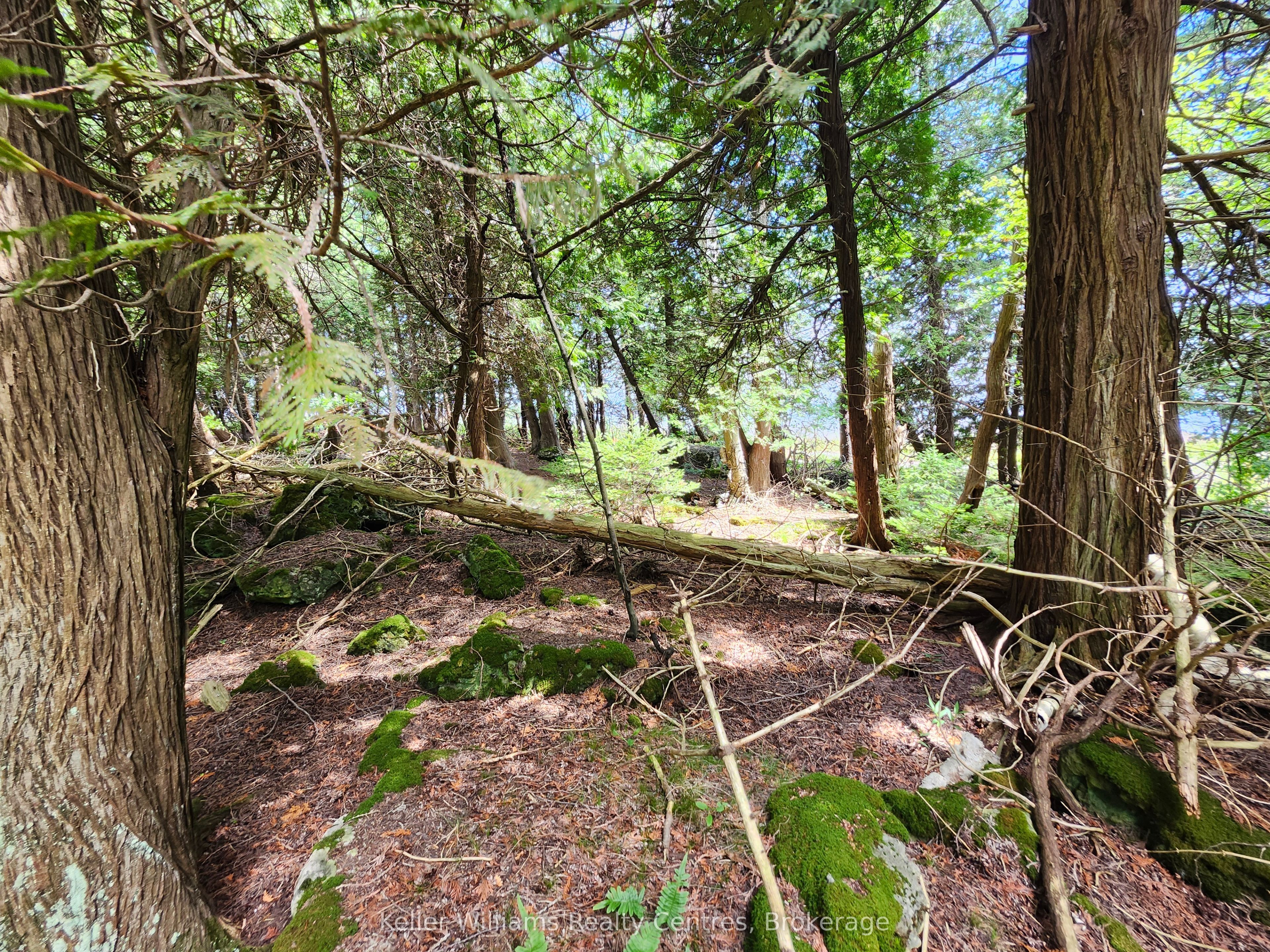 23 Rabbit N/a Property Photo 43