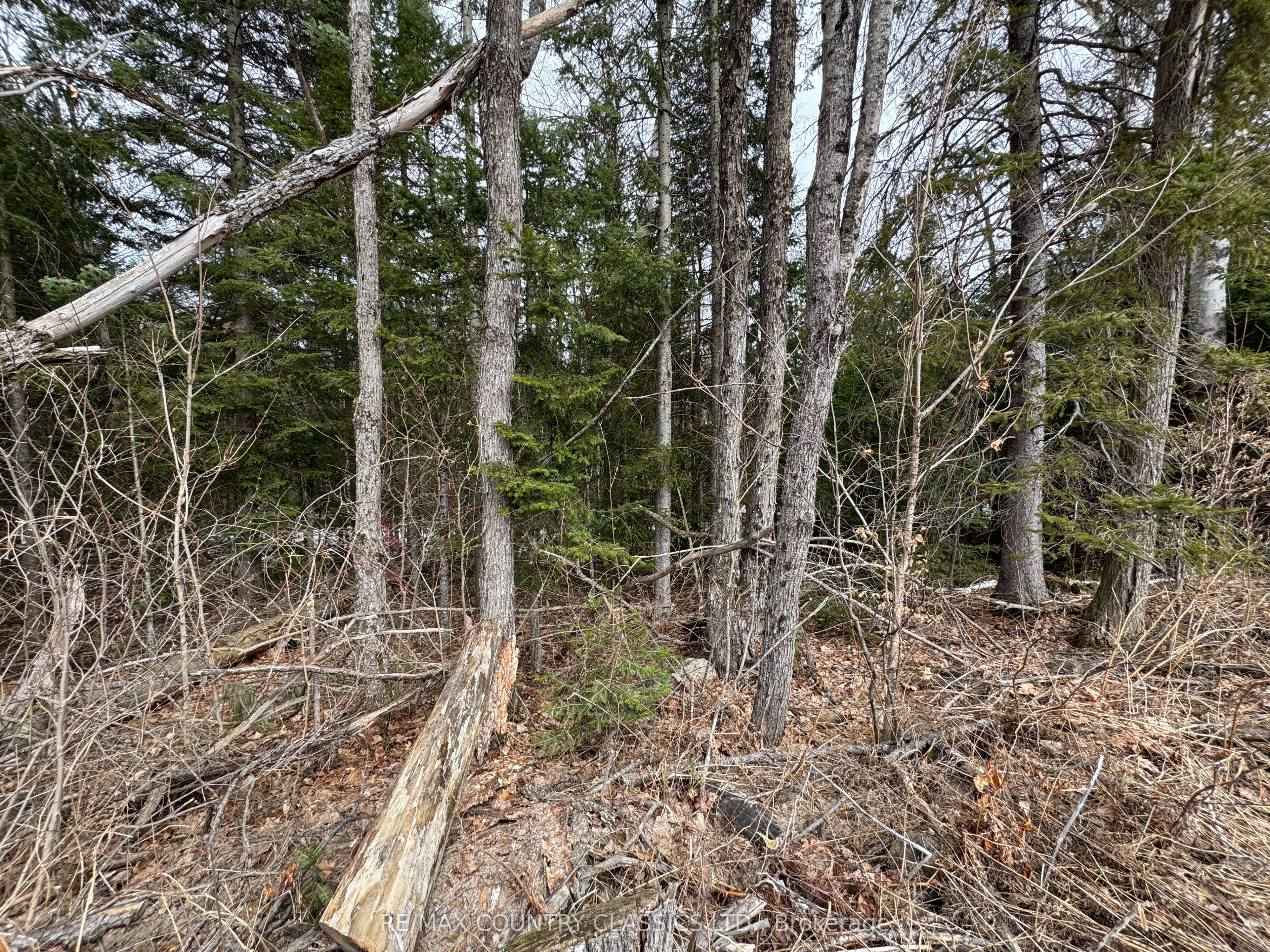 0 Mcpherson Road Property Photo 2
