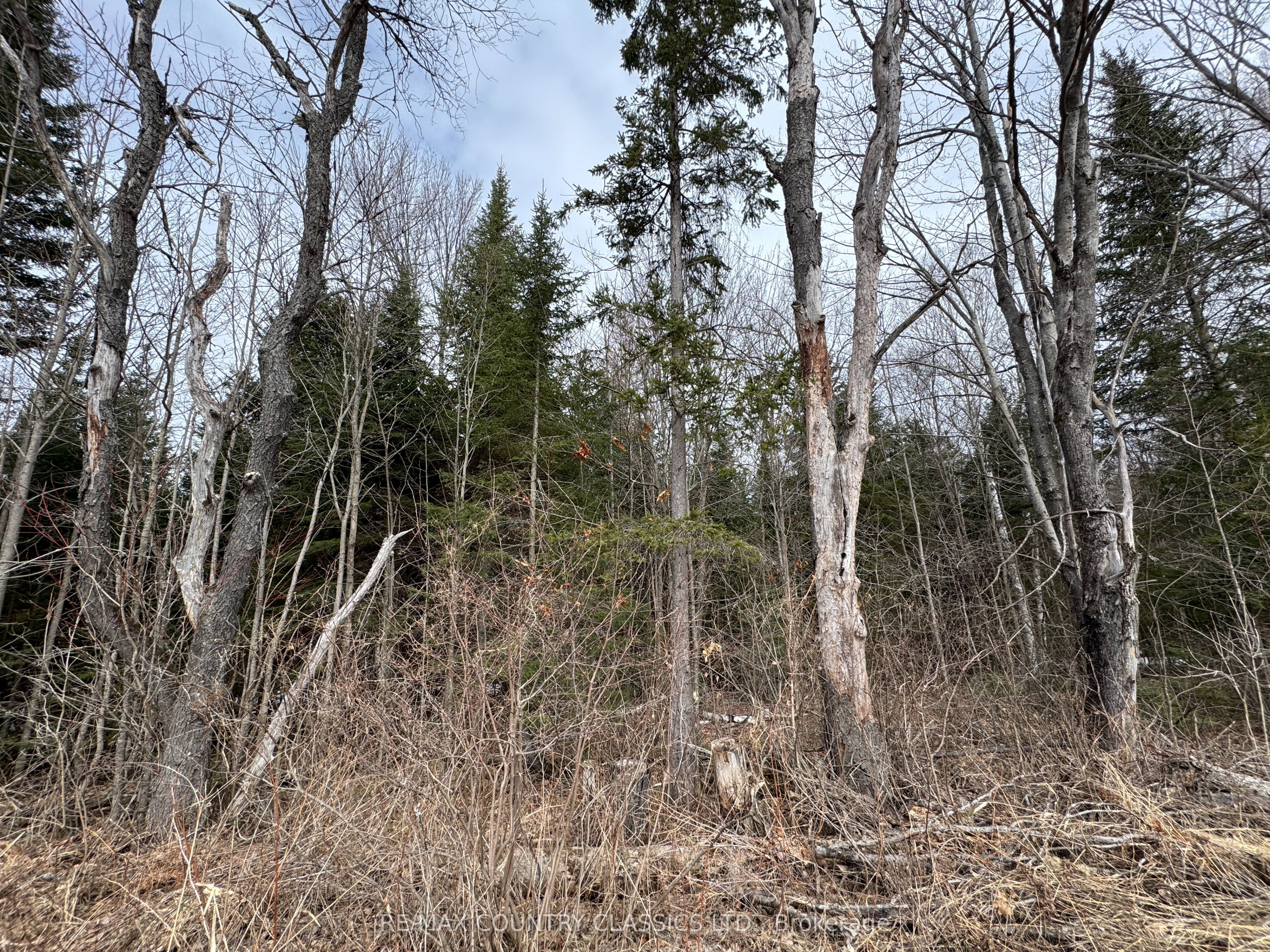 0 Mcpherson Road Property Photo 8