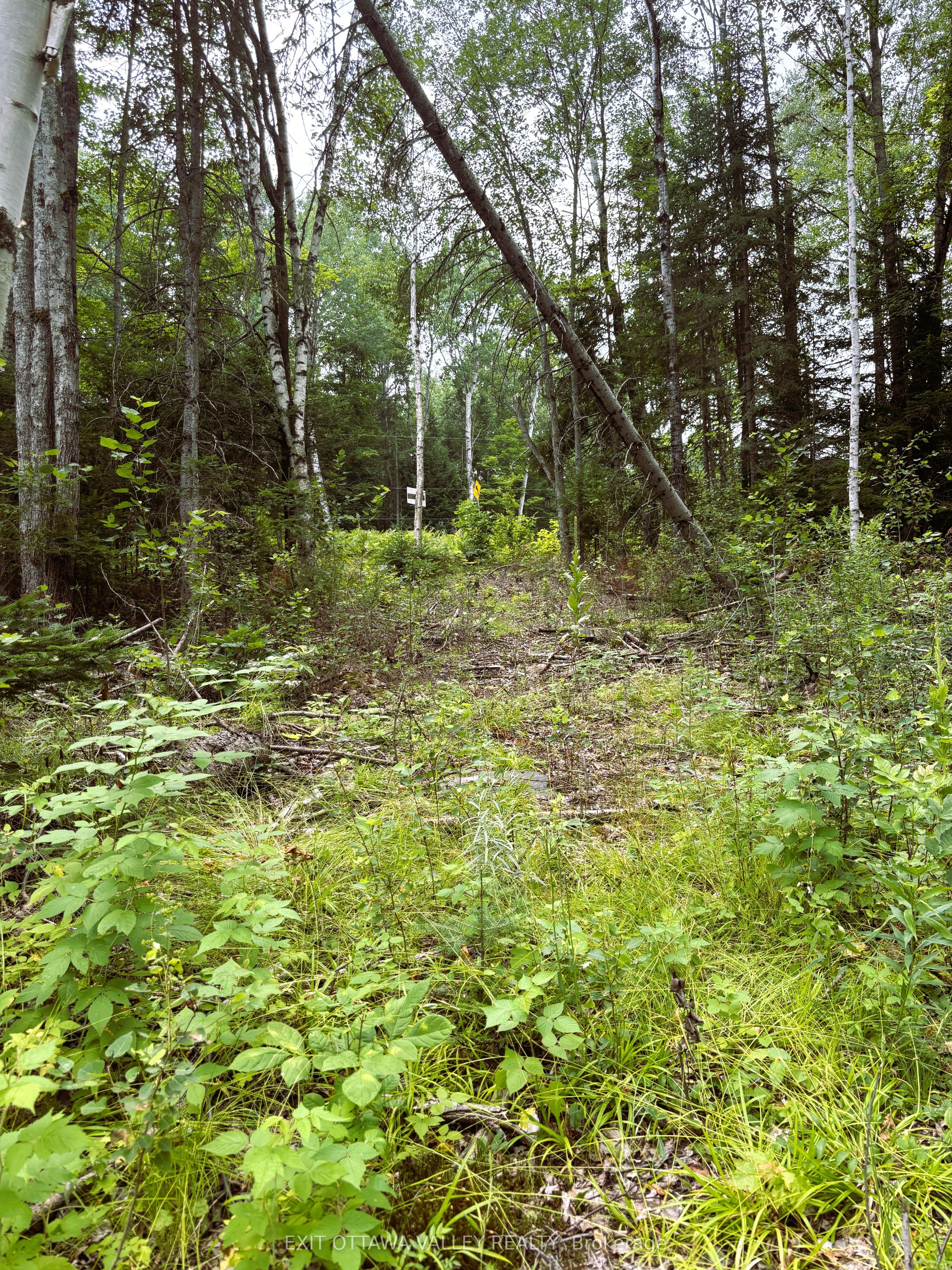 001 Siberia Road Property Photo 1