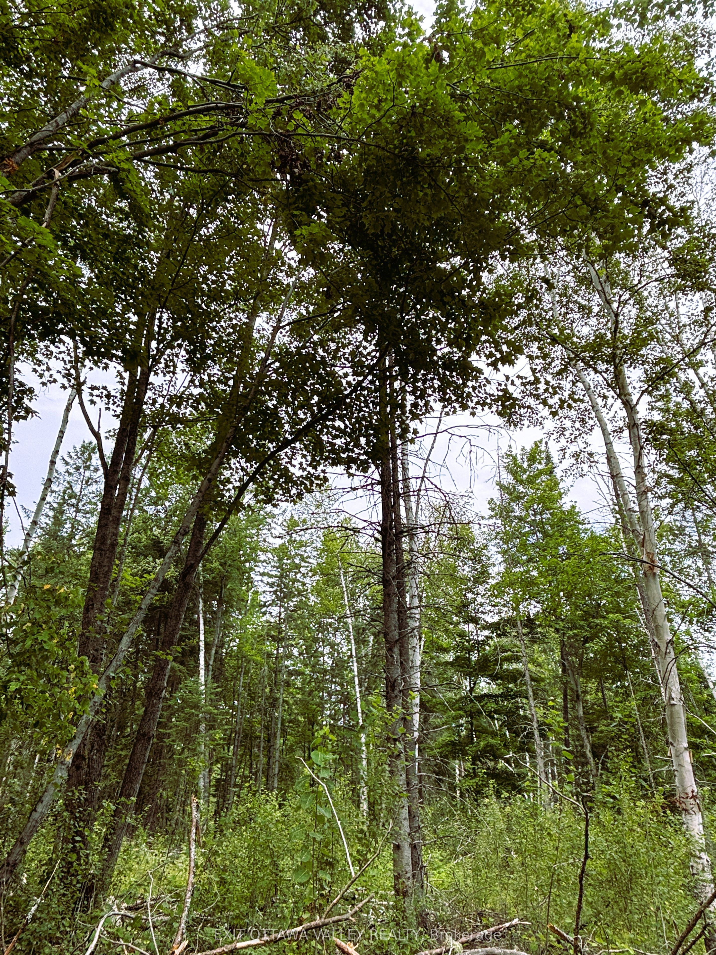 001 Siberia Road Property Photo 2
