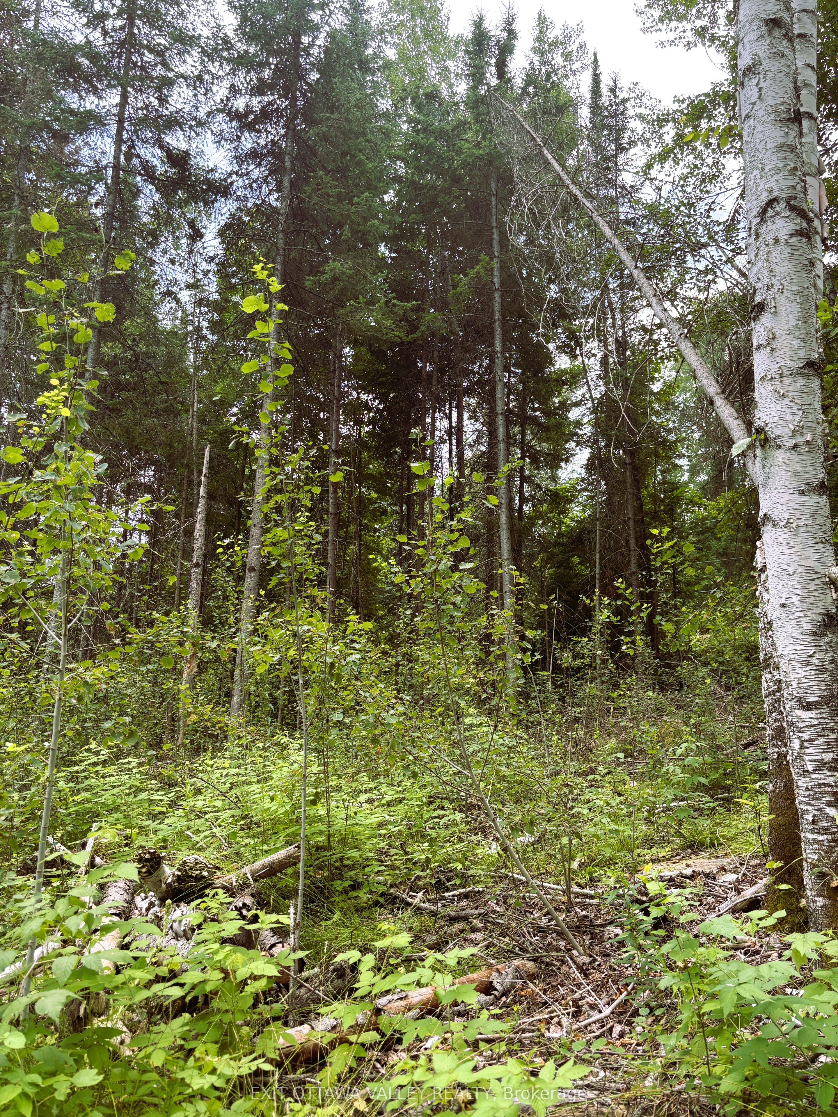 001 Siberia Road Property Photo 5