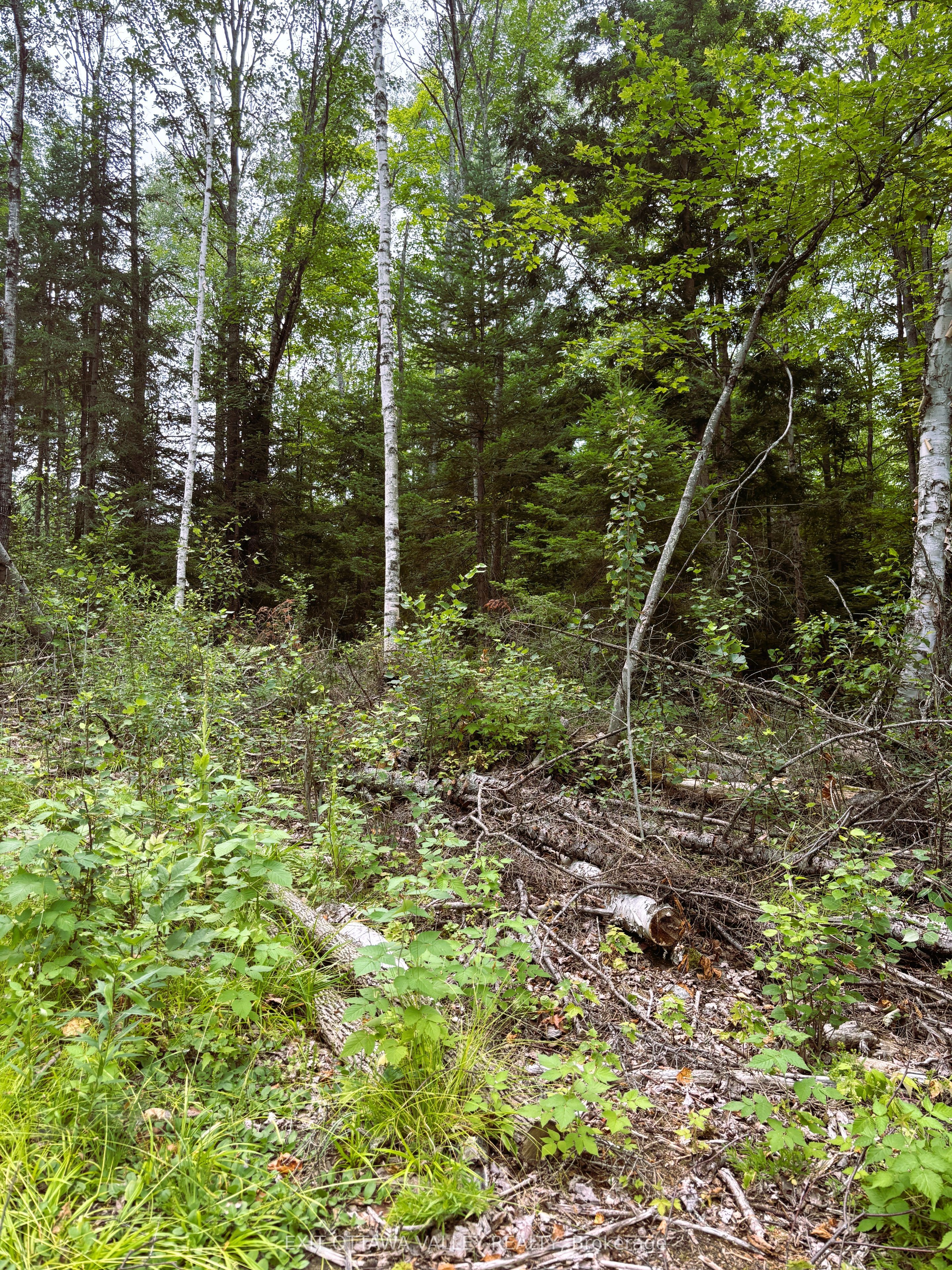 001 Siberia Road Property Photo 6
