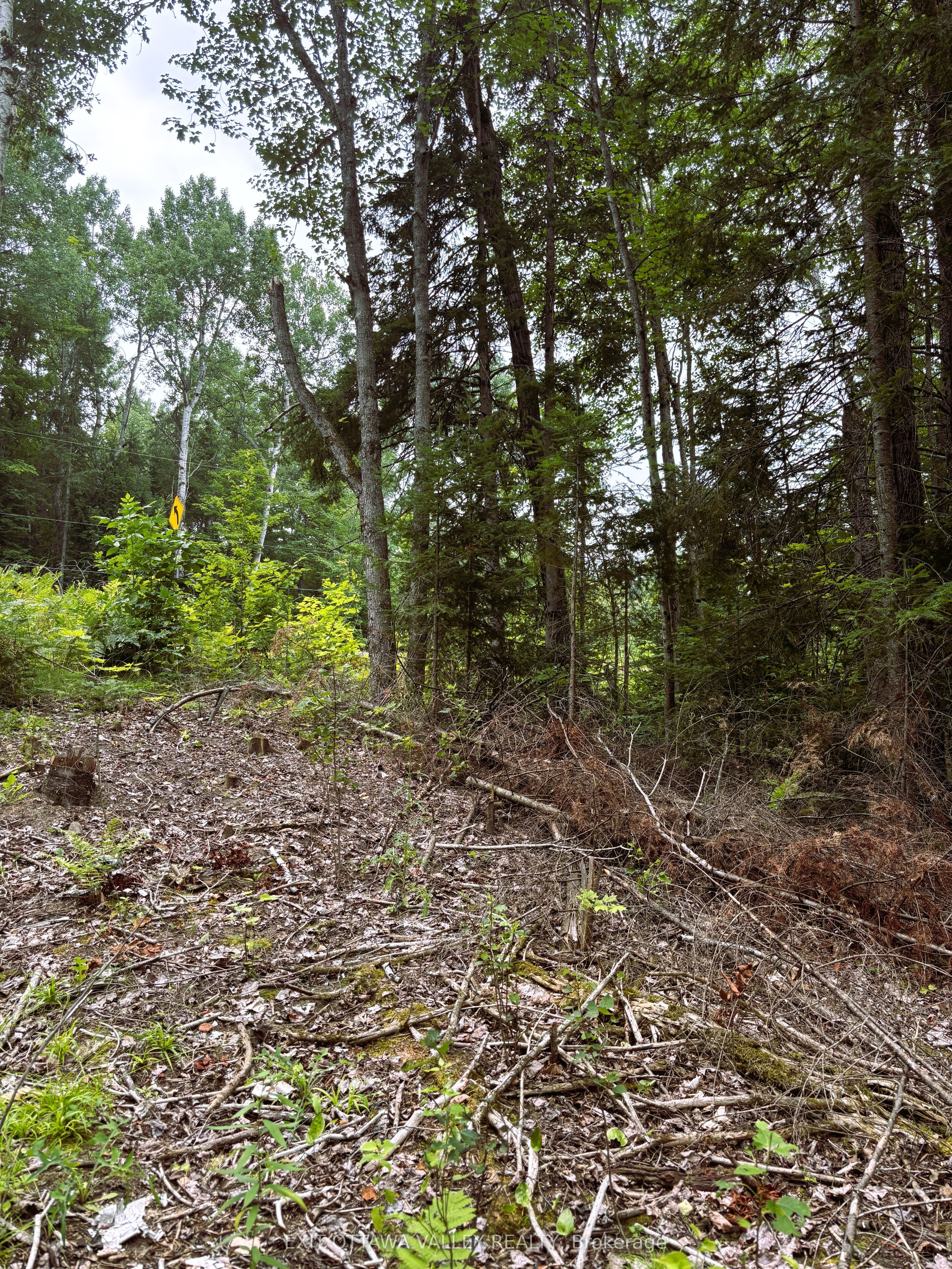 001 Siberia Road Property Photo 7