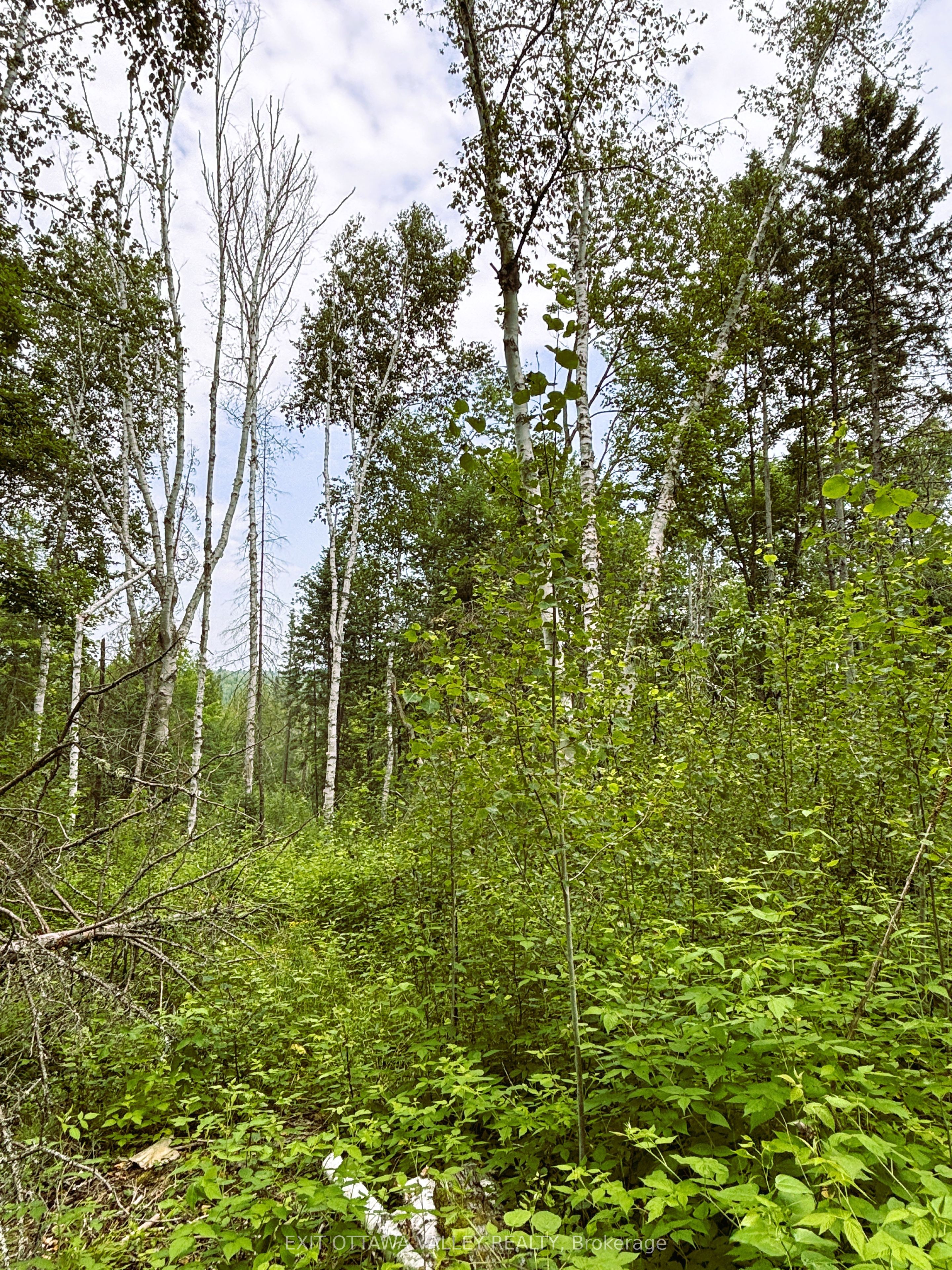 001 Siberia Road Property Photo 8