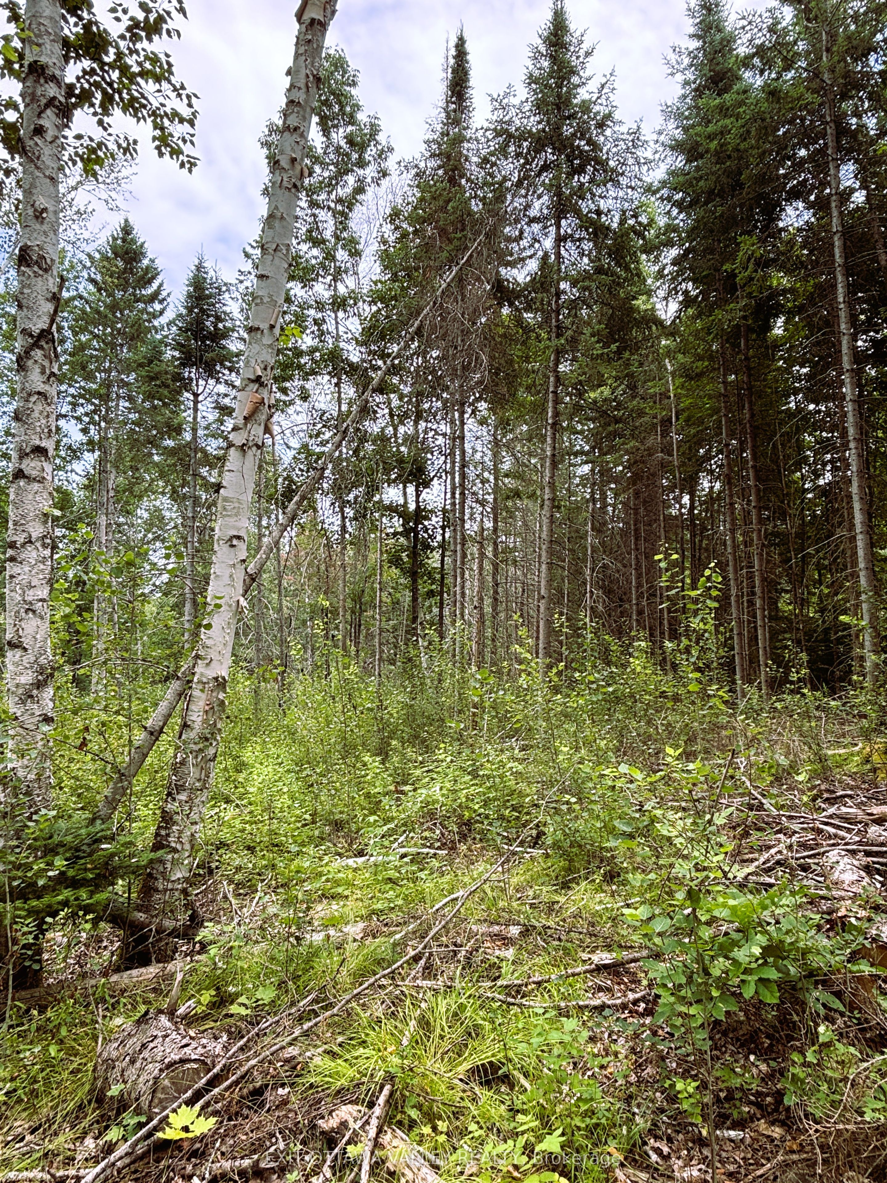 001 Siberia Road Property Photo 9