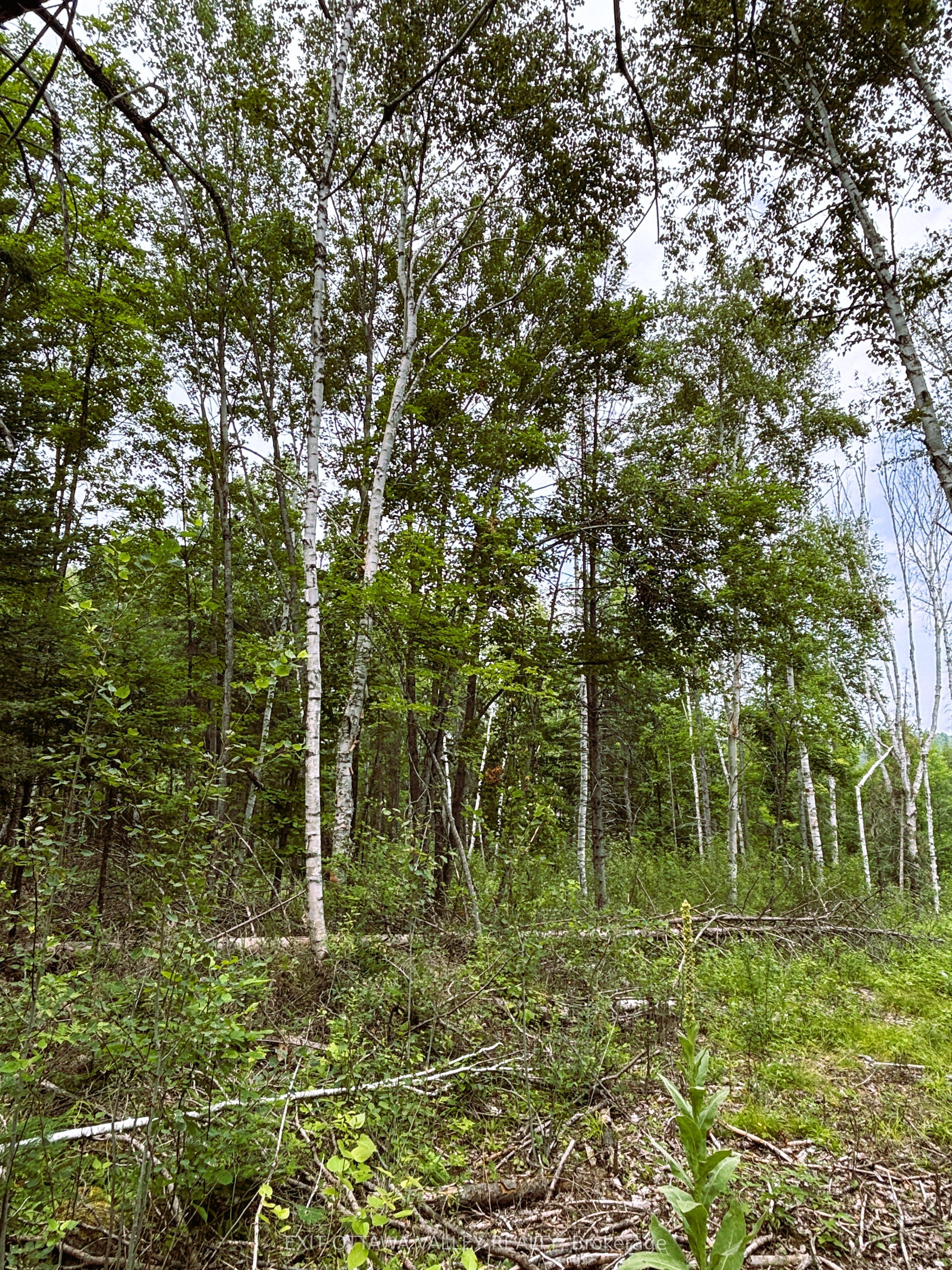 001 Siberia Road Property Photo 10