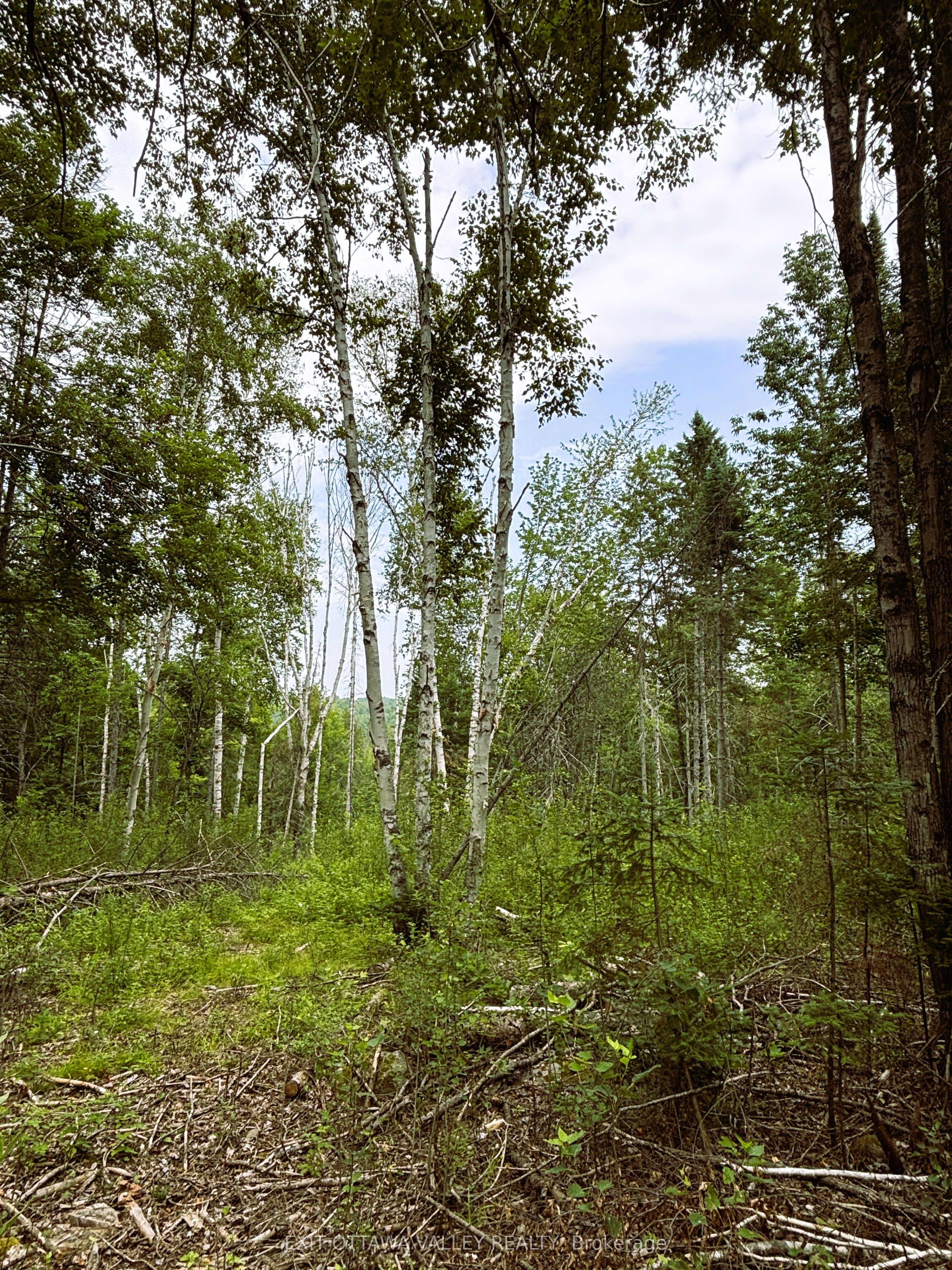 001 Siberia Road Property Photo 11