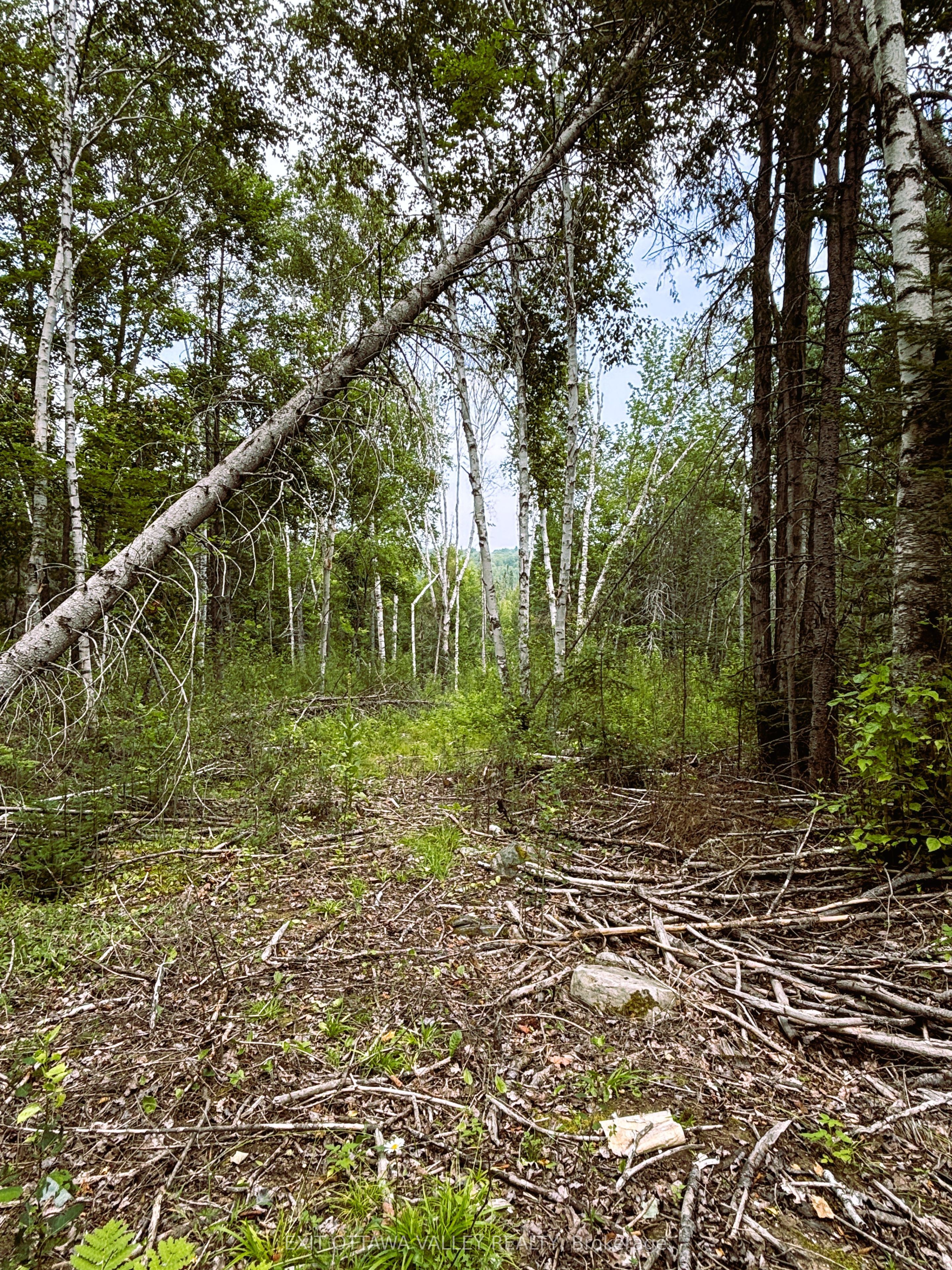 001 Siberia Road Property Photo 12