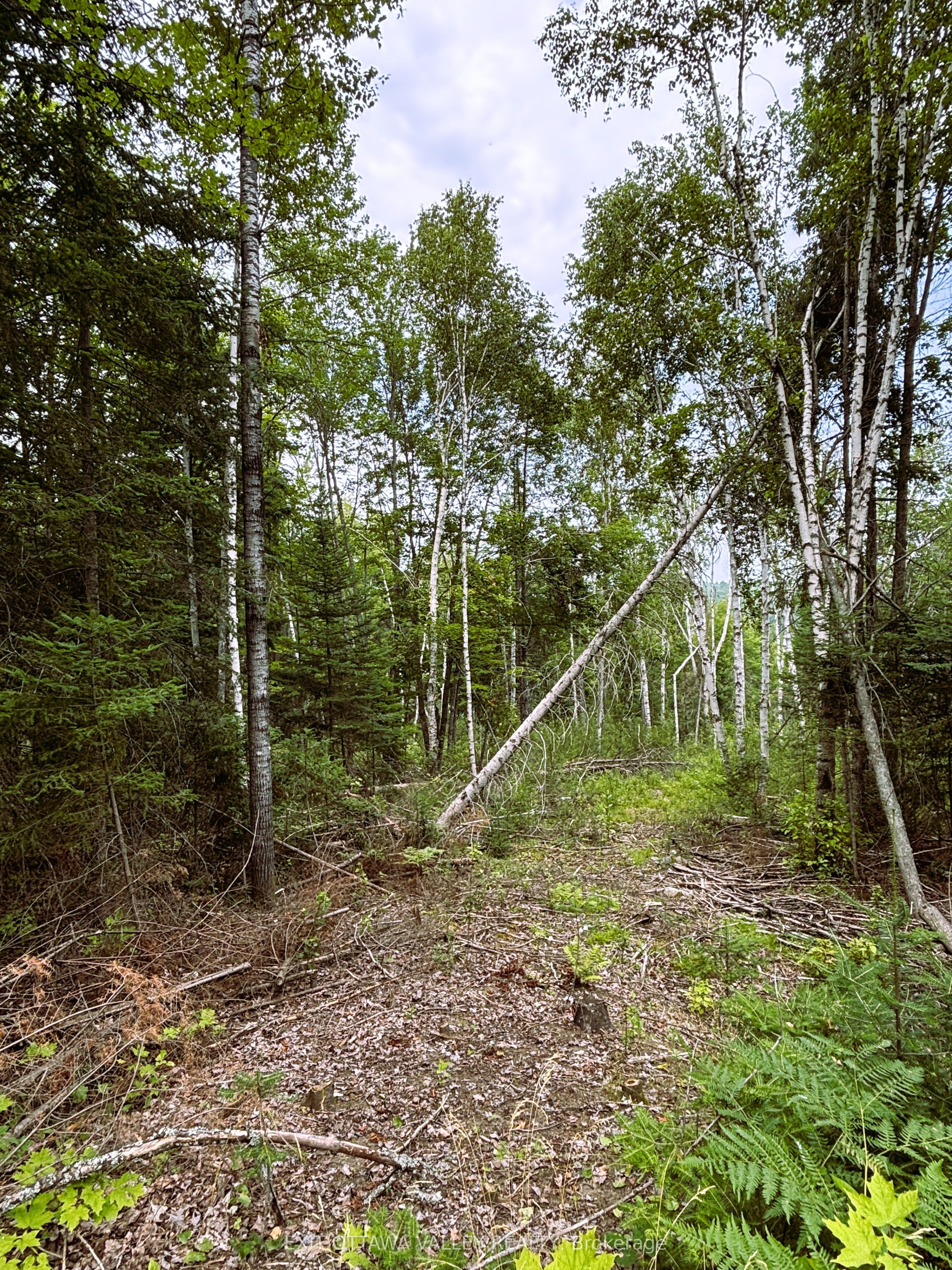 001 Siberia Road Property Photo 13
