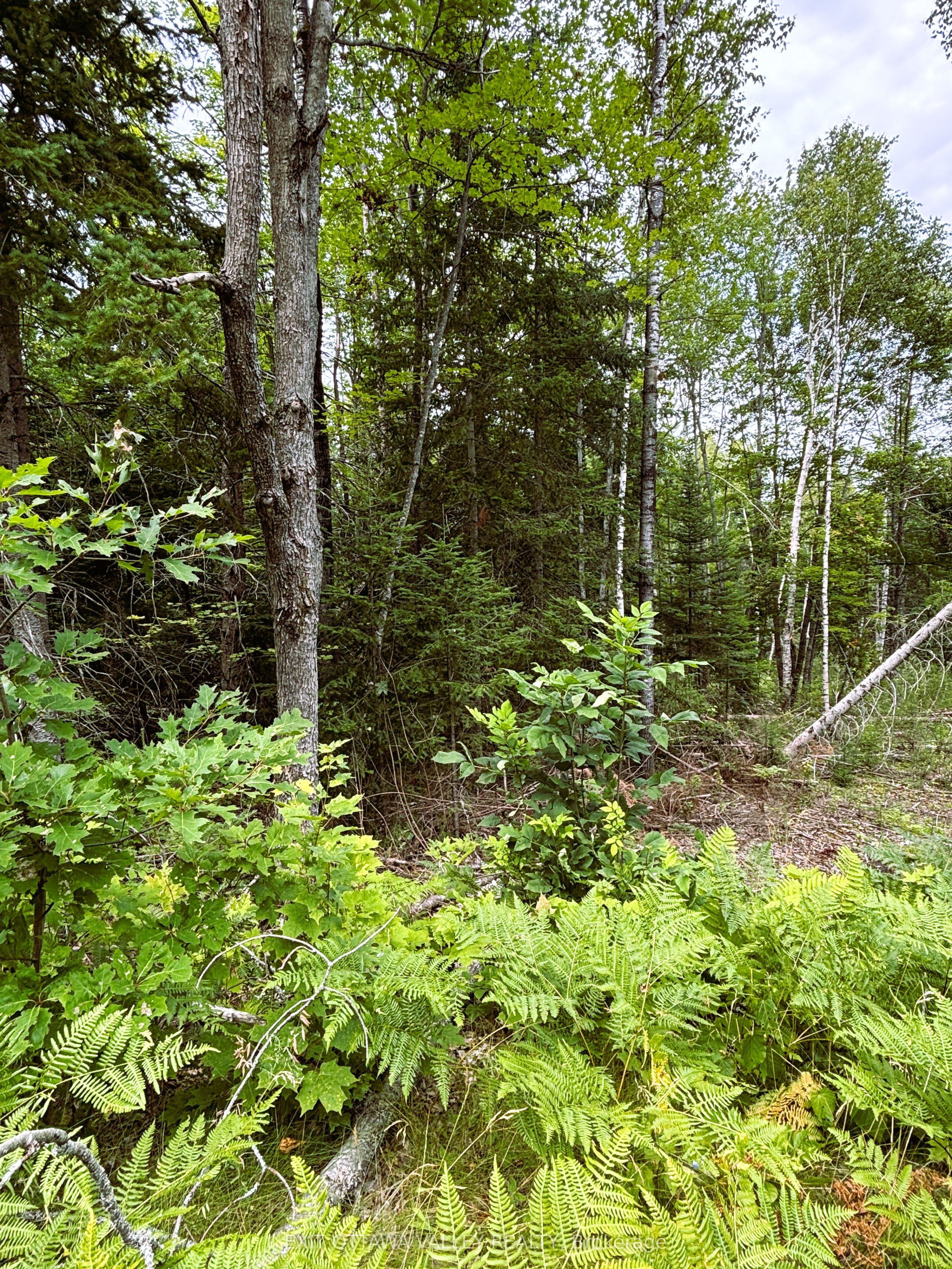 001 Siberia Road Property Photo 14