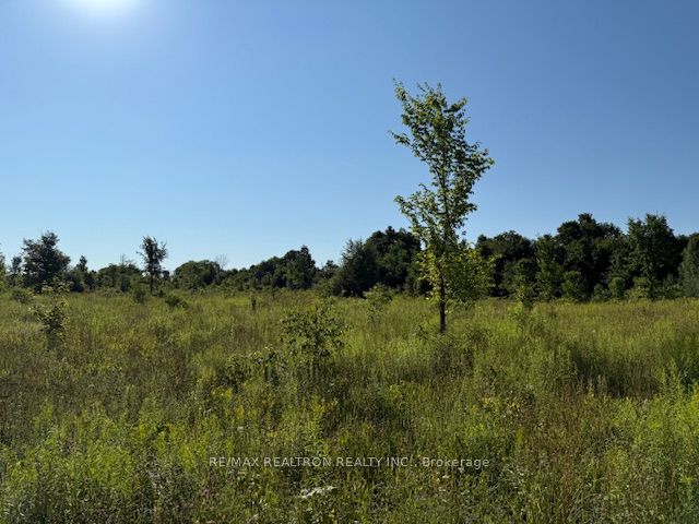 Pt Lot 6 Concession 8 Sideroad 7a N/a Property Photo 3
