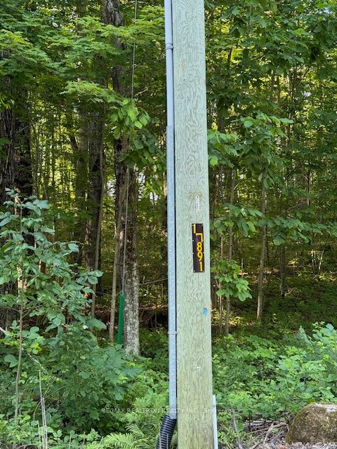 Pt Lot 6 Concession 8 Sideroad 7a N/a Property Photo 4
