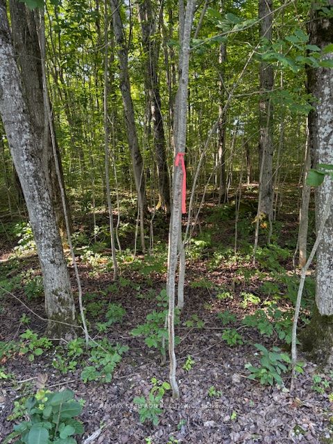Pt Lot 6 Concession 8 Sideroad 7a N/a Property Photo 7