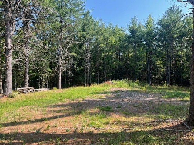 942 Balmer Road Property Photo 4