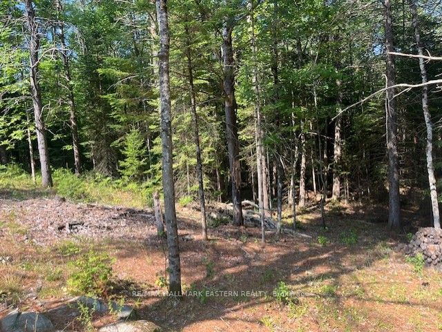 942 Balmer Road Property Photo 6