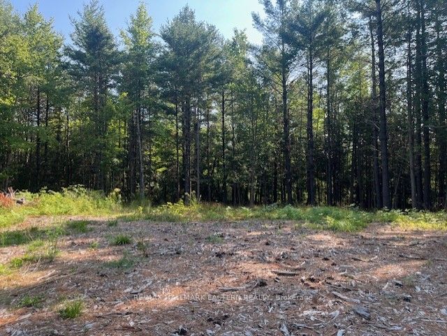 942 Balmer Road Property Photo 8