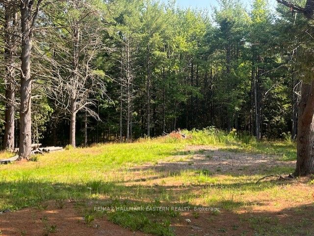 942 Balmer Road Property Photo 10