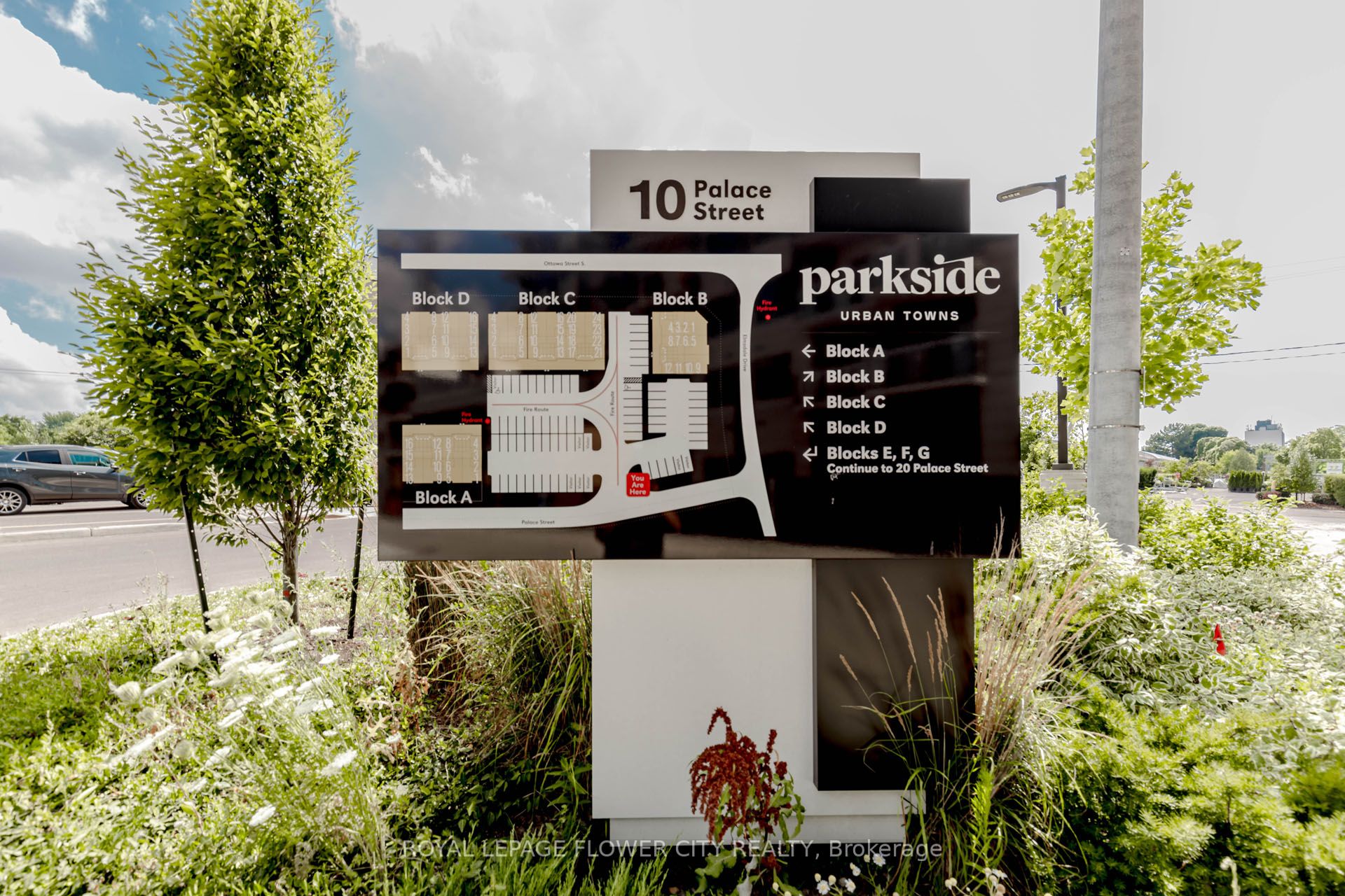 10 Palace St Property Photo 1