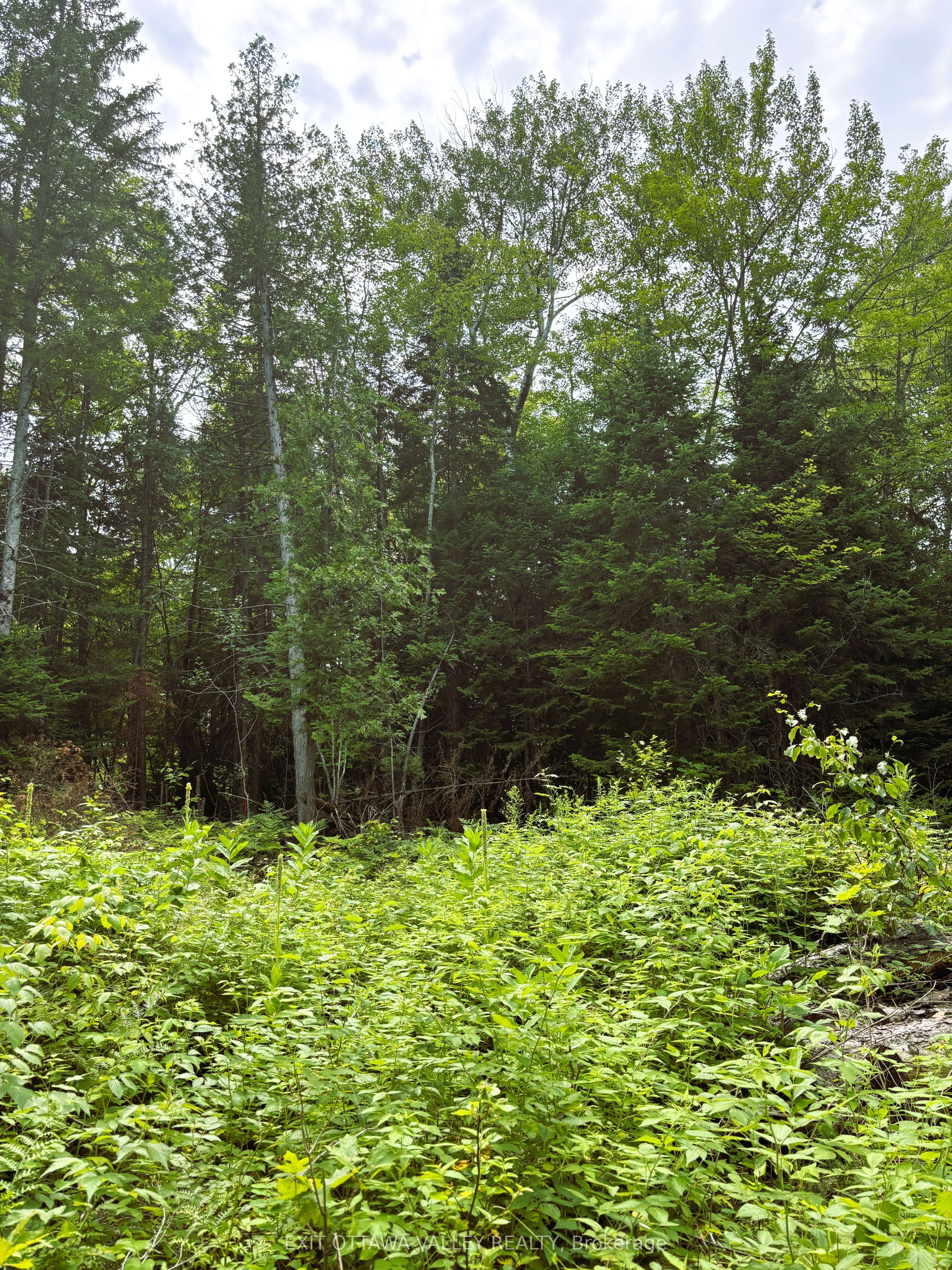 00 Siberia Road Property Photo 6