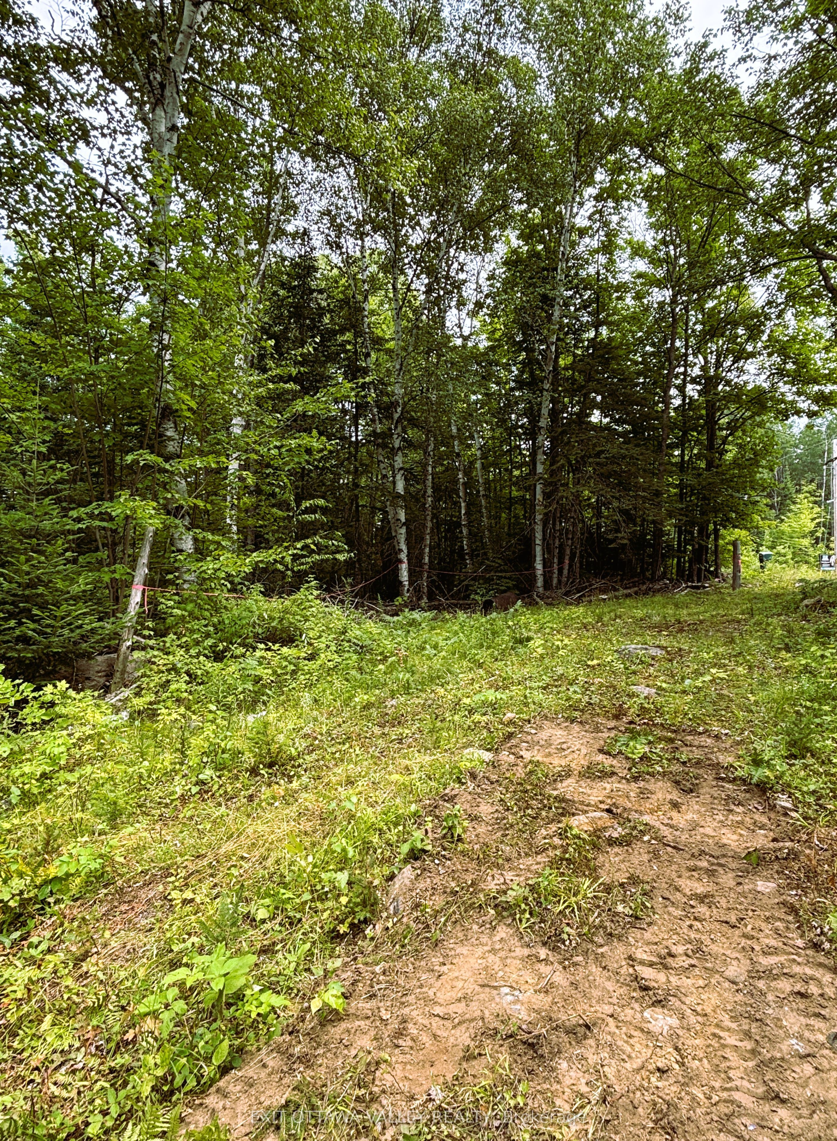 00 Siberia Road Property Photo 7