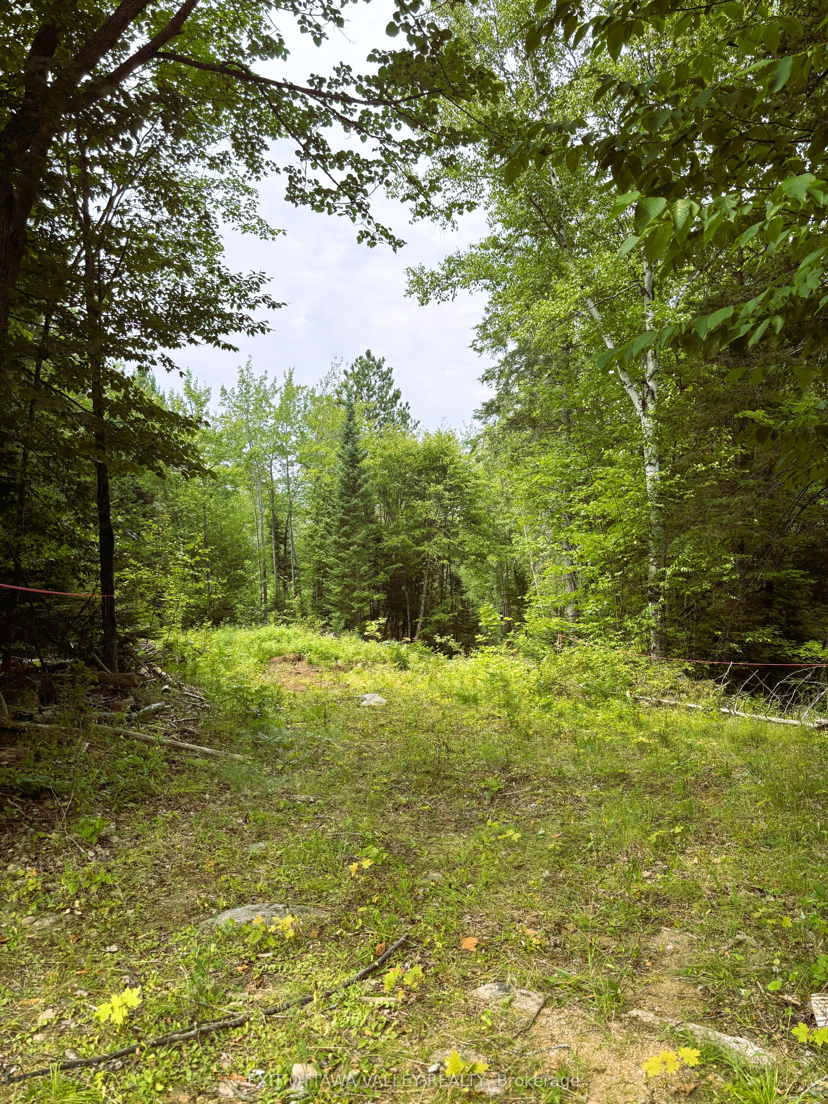 00 Siberia Road Property Photo 8