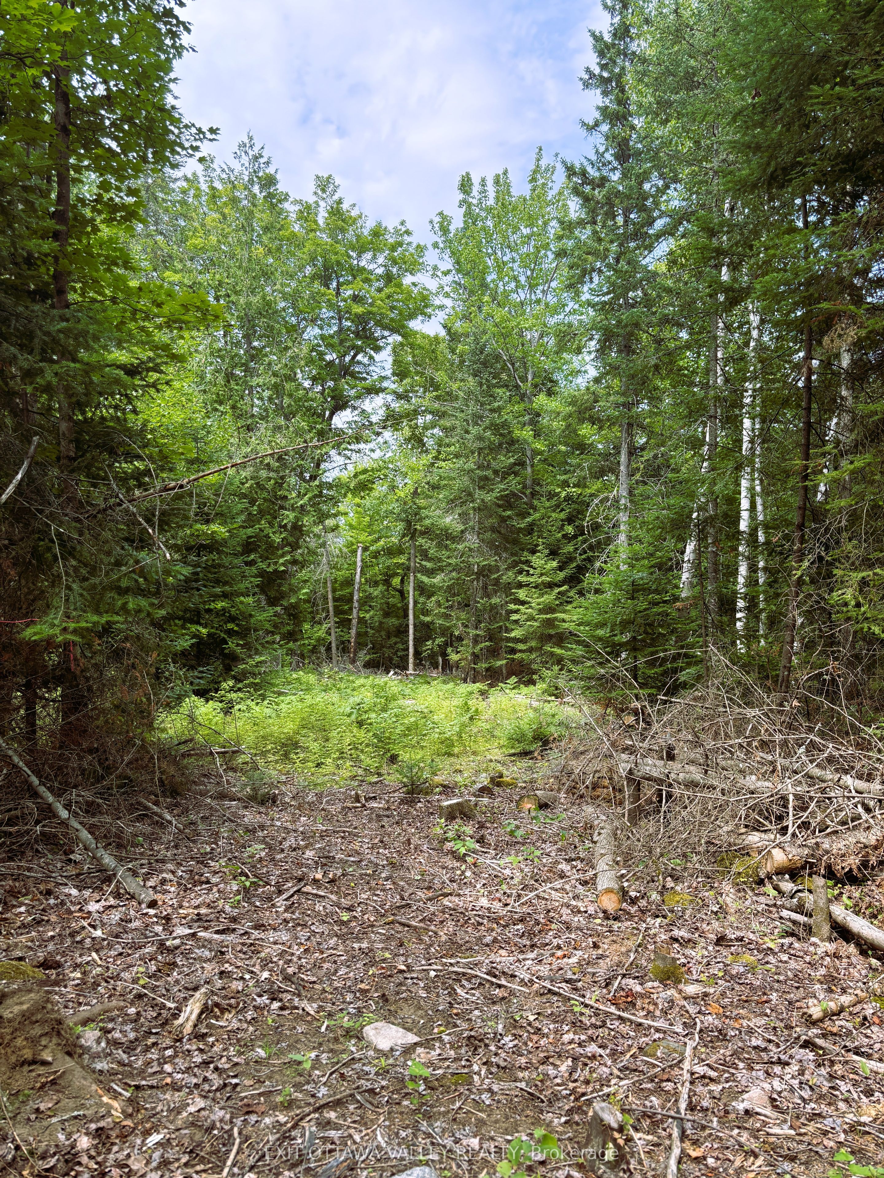 00 Siberia Road Property Photo 21