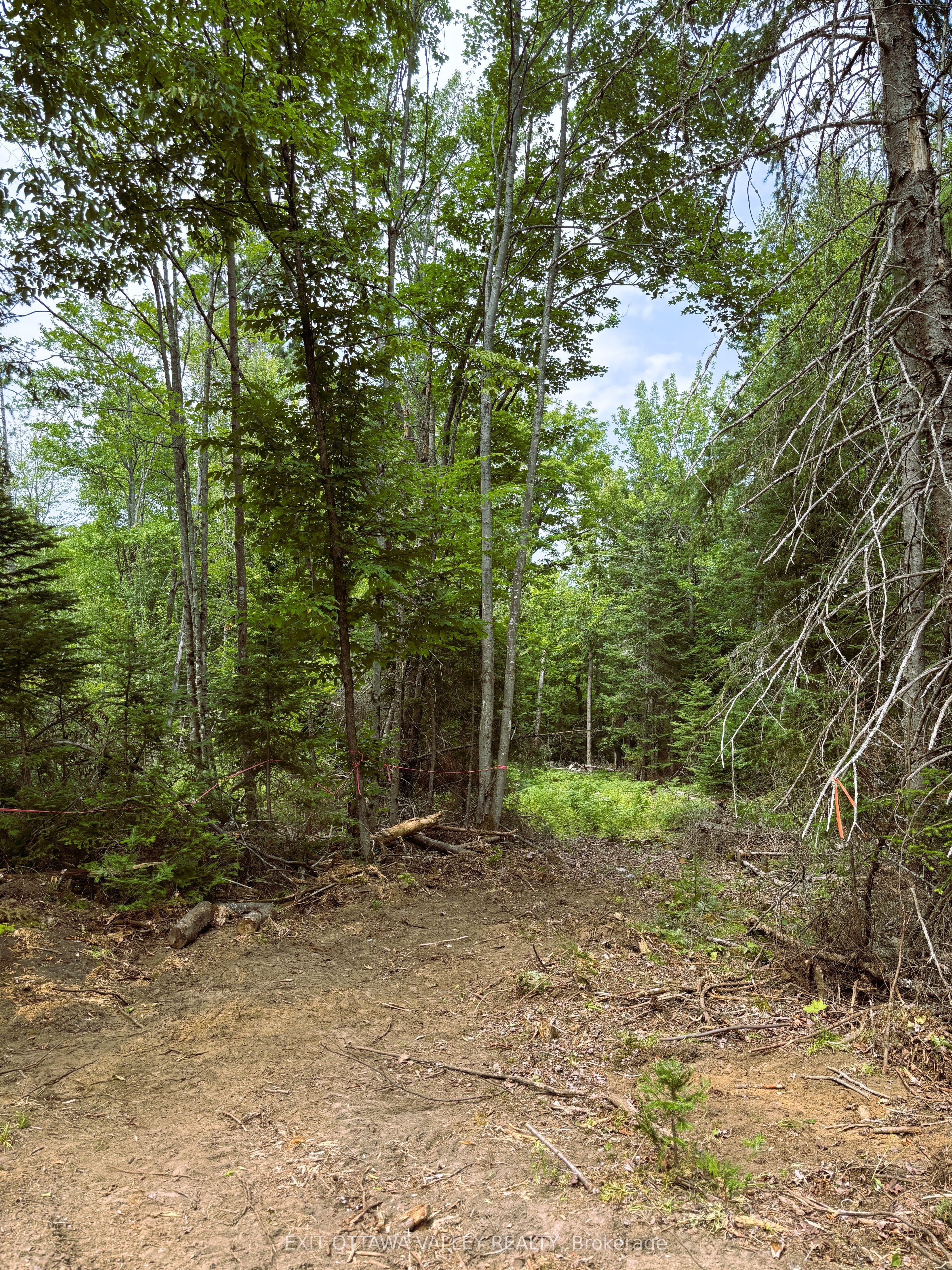 00 Siberia Road Property Photo 22