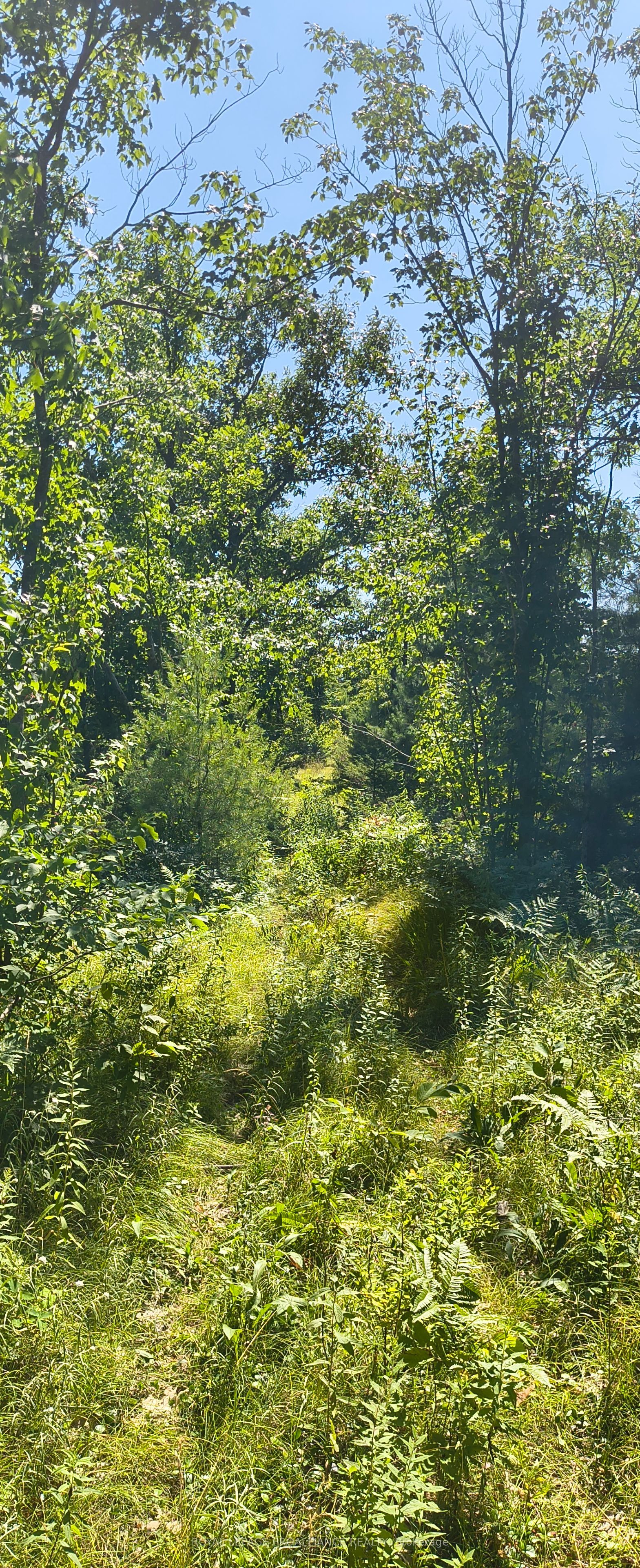0000 Highway 7 N/a Property Photo 4