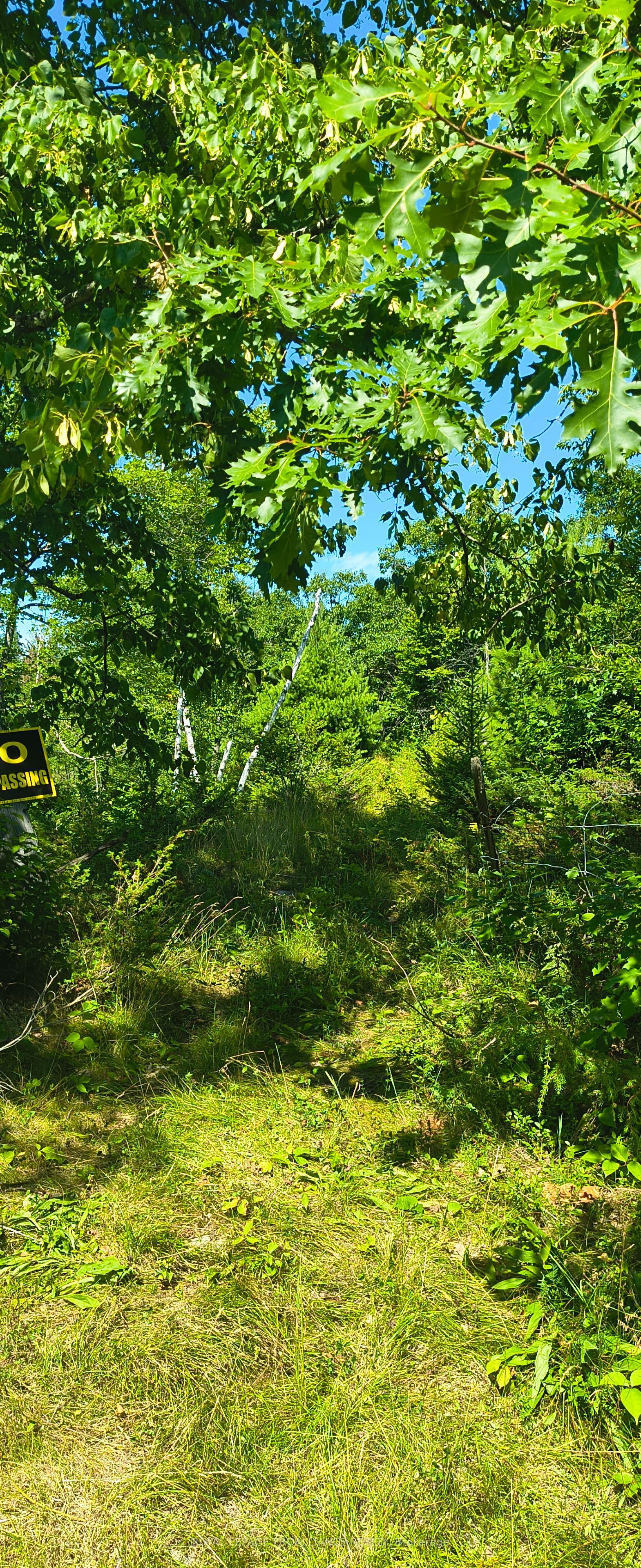 0000 Highway 7 N/a Property Photo 7