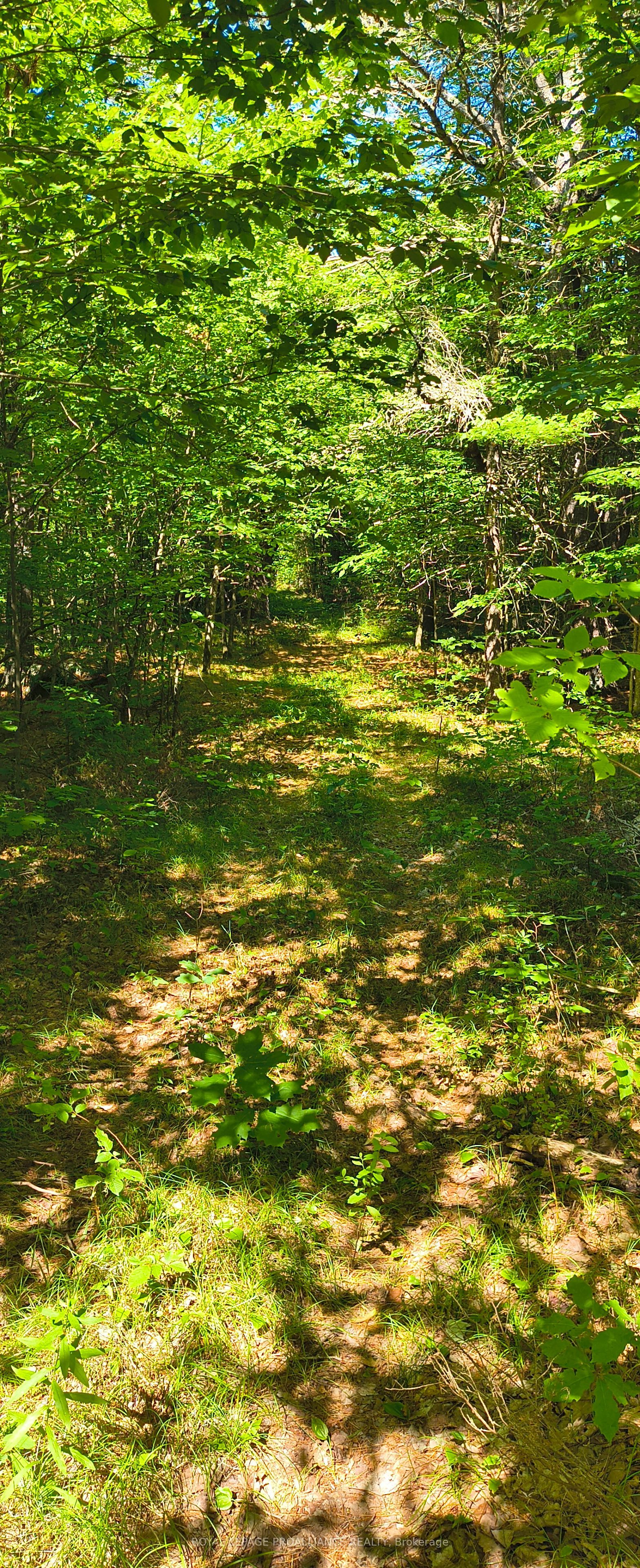 0000 Highway 7 N/a Property Photo 9
