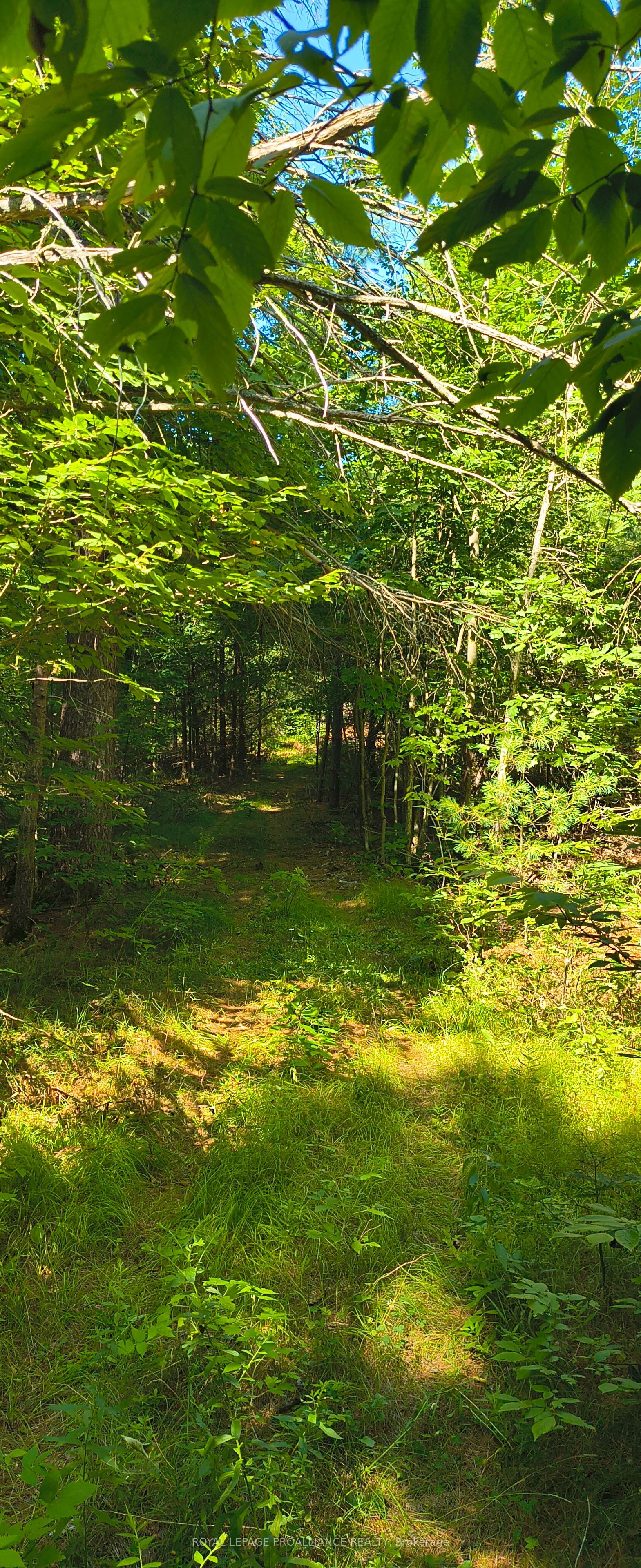 0000 Highway 7 N/a Property Photo 11