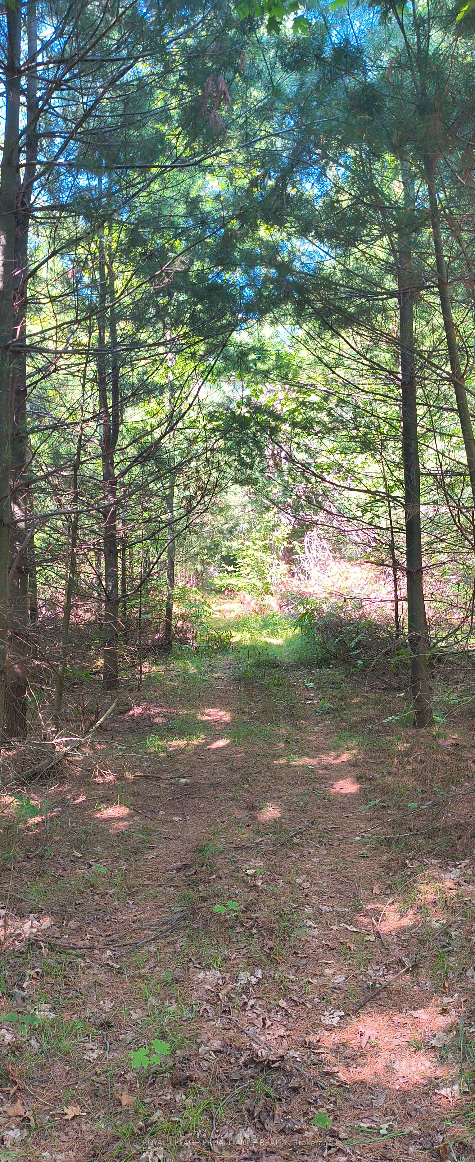 0000 Highway 7 N/a Property Photo 12